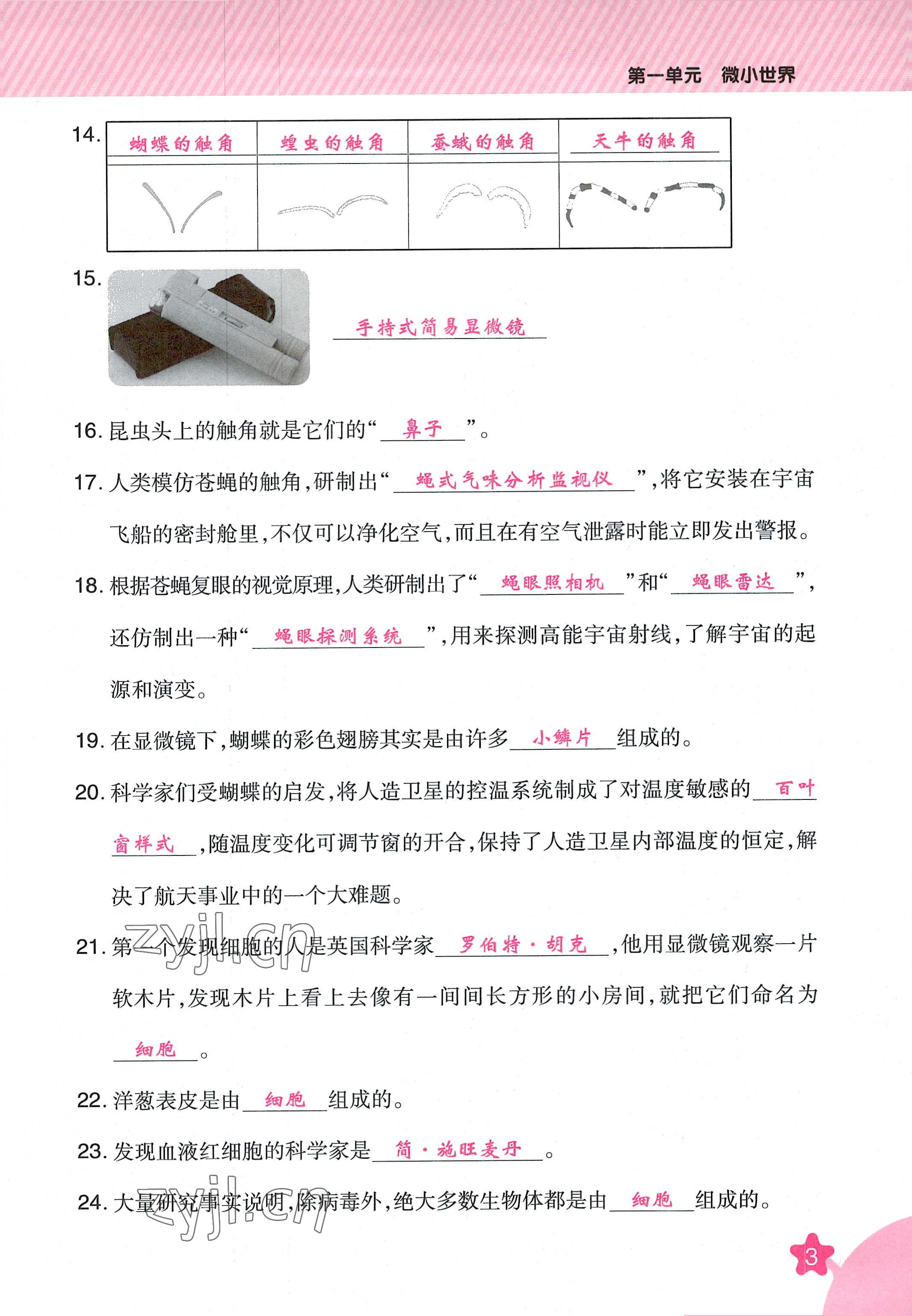 2022年名師小狀元課時(shí)作業(yè)本六年級(jí)科學(xué)上冊(cè)教科版 參考答案第9頁