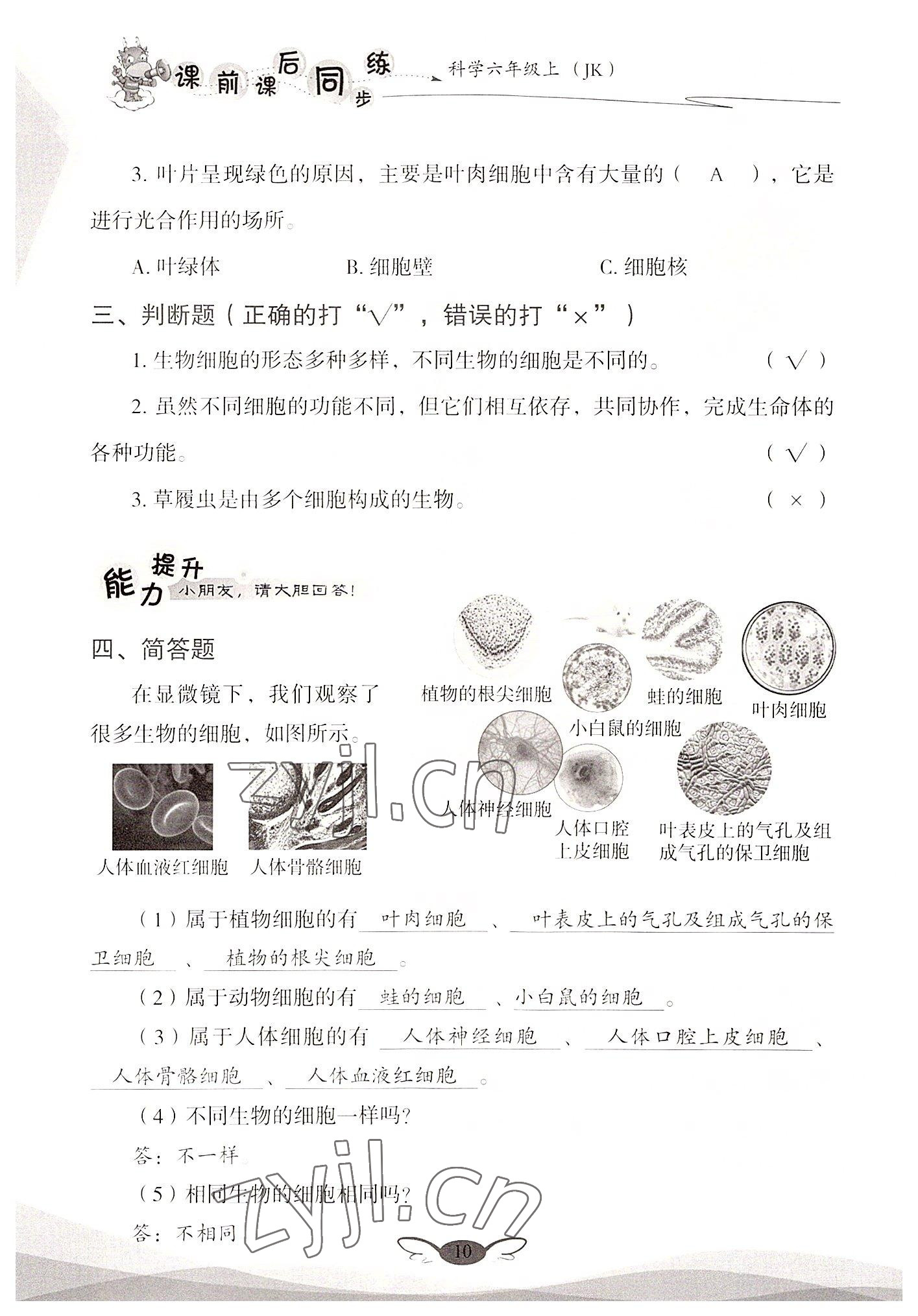 2022年课前课后同步练六年级科学上册教科版&nbsp;参考答案第10页