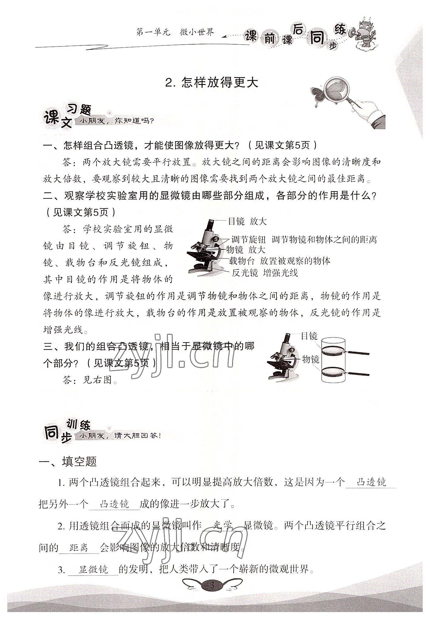 2022年课前课后同步练六年级科学上册教科版&nbsp;参考答案第3页