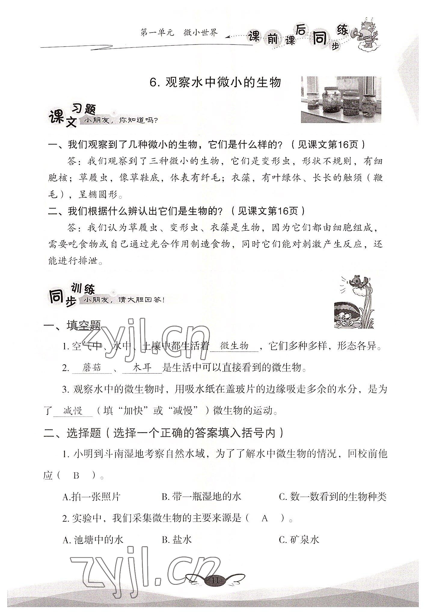2022年课前课后同步练六年级科学上册教科版&nbsp;参考答案第11页