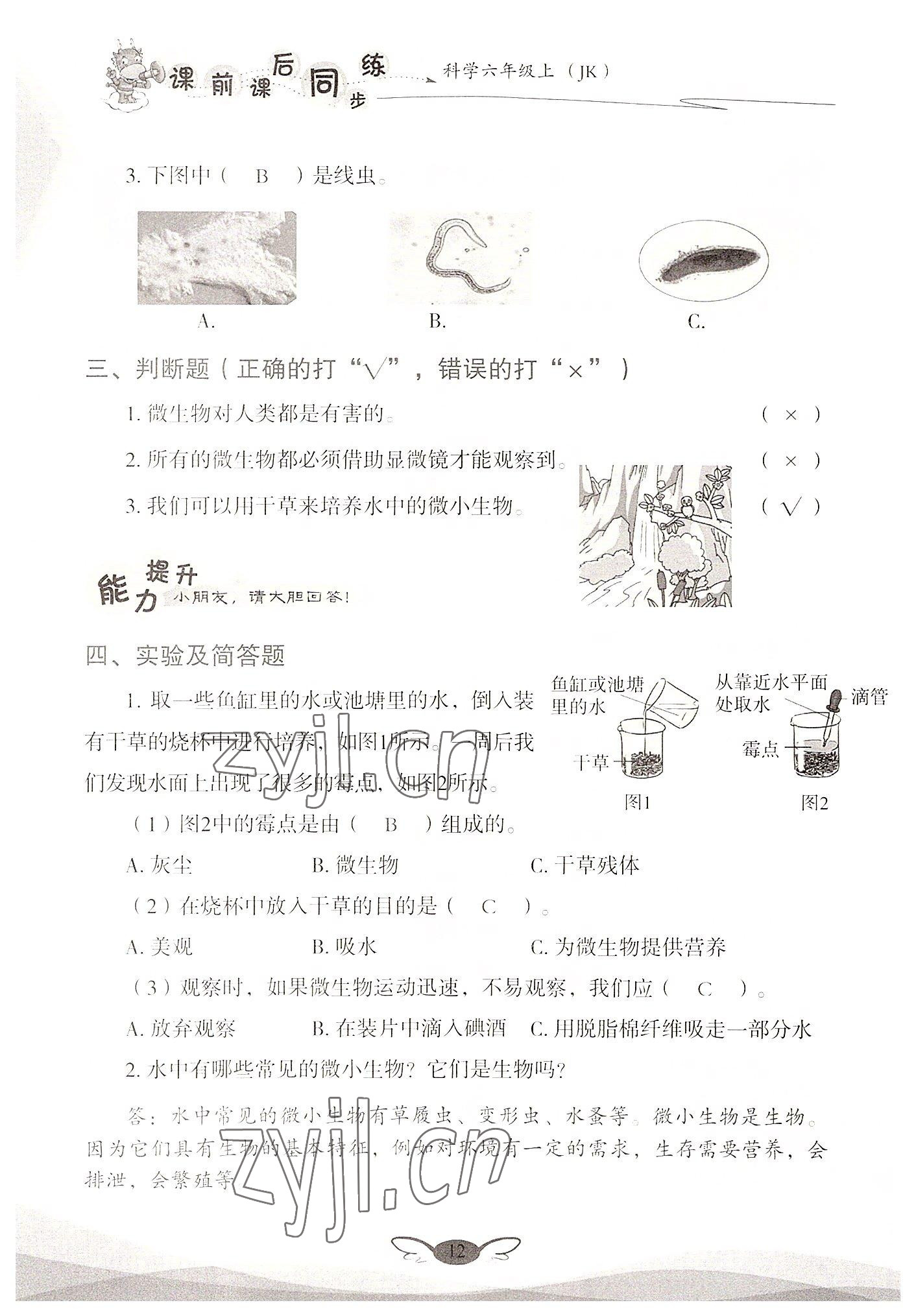 2022年课前课后同步练六年级科学上册教科版&nbsp;参考答案第12页