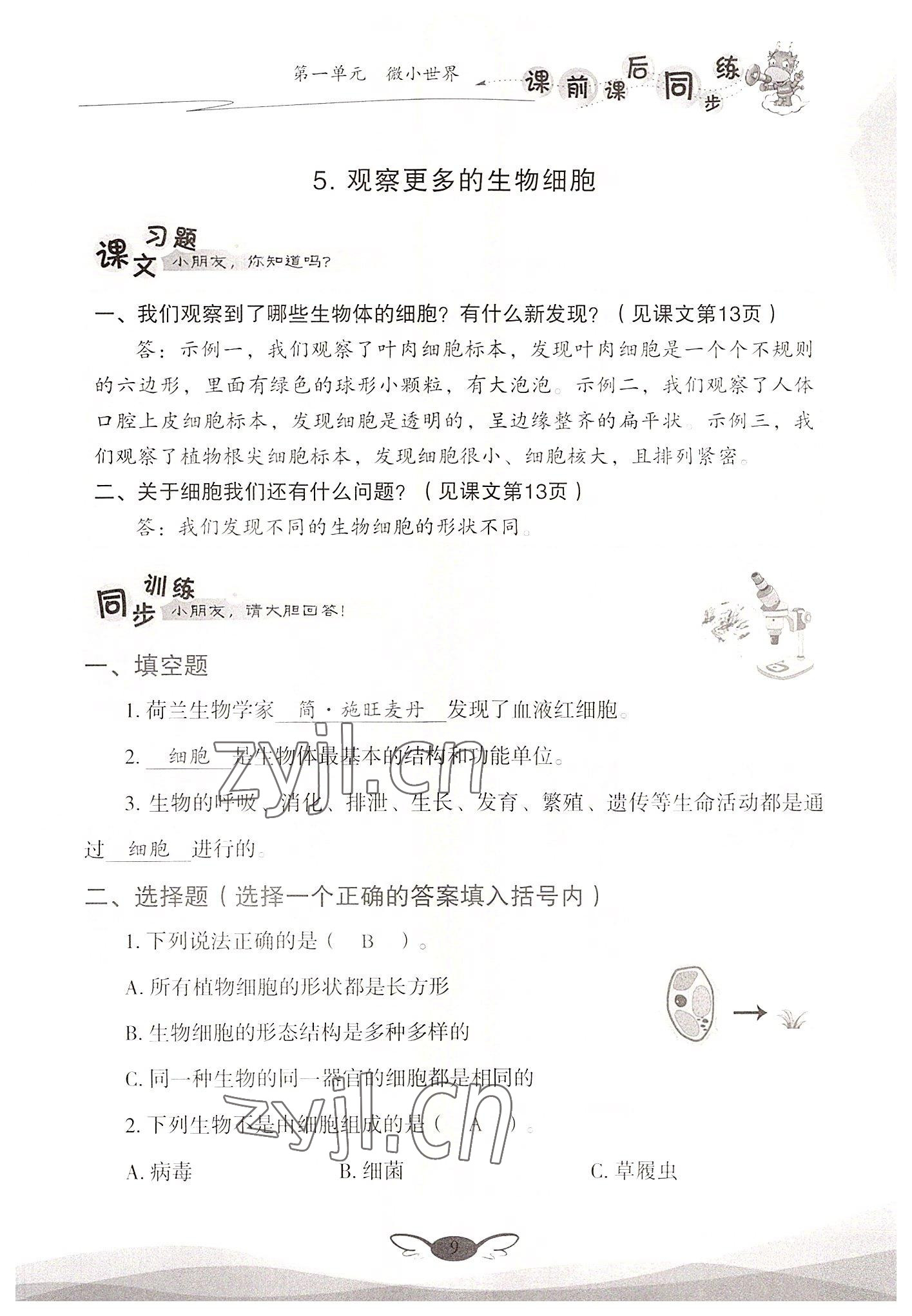 2022年课前课后同步练六年级科学上册教科版&nbsp;参考答案第9页