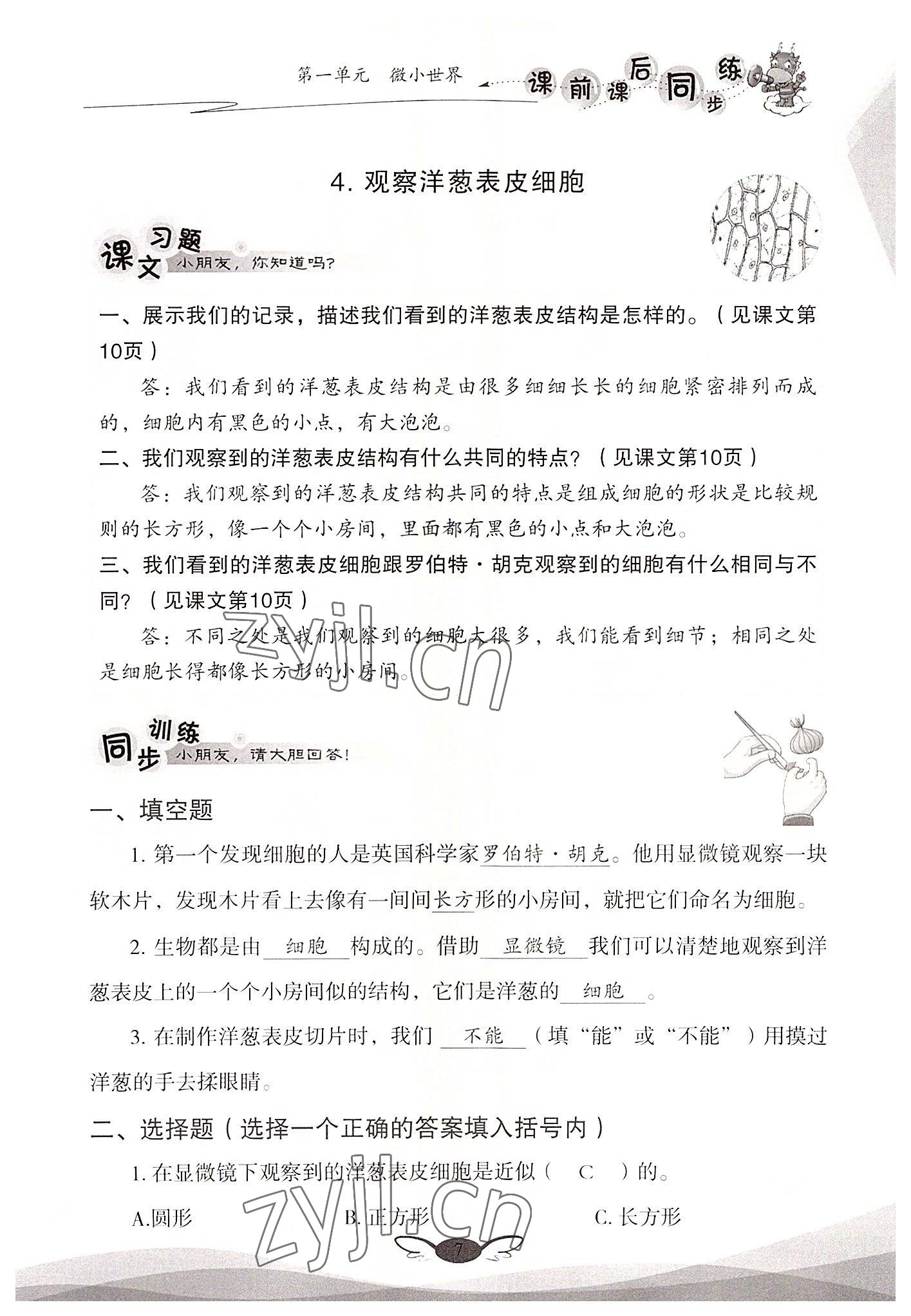 2022年课前课后同步练六年级科学上册教科版&nbsp;参考答案第7页