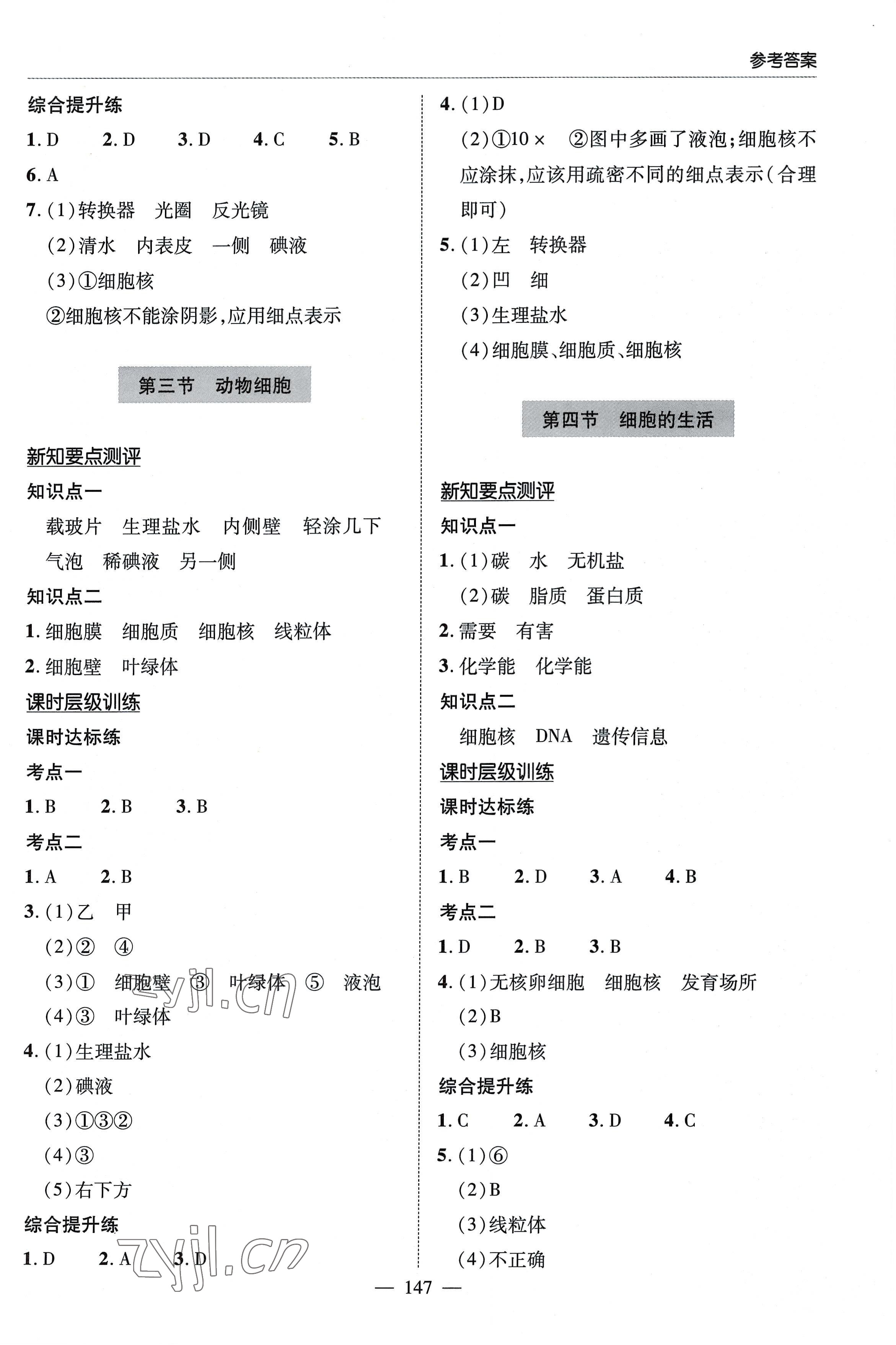 2022年新课堂同步学习与探究七年级生物上册人教版 参考答案第5页