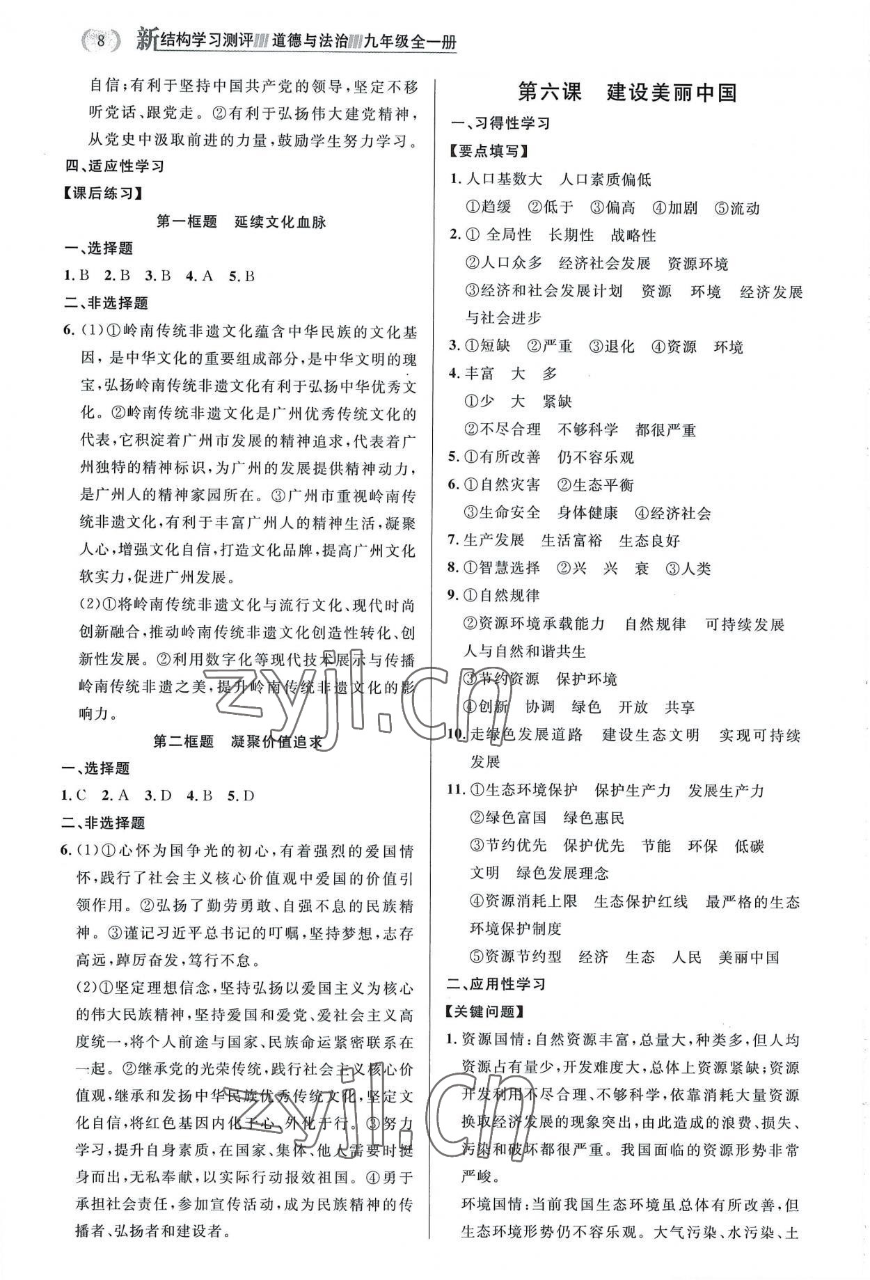 2022年新結(jié)構(gòu)學(xué)習(xí)測評九年級道德與法治全一冊人教版 第8頁