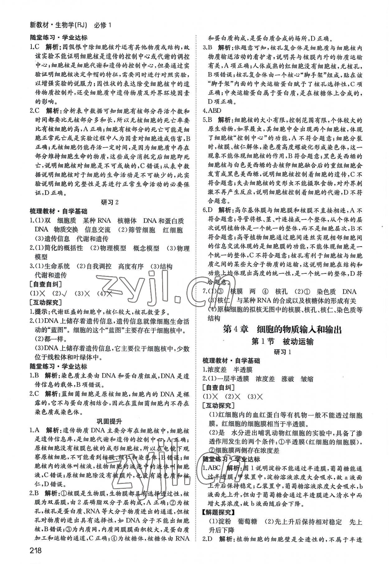 2022年名師伴你行高中同步導(dǎo)學案高中生物必修1人教版 參考答案第11頁