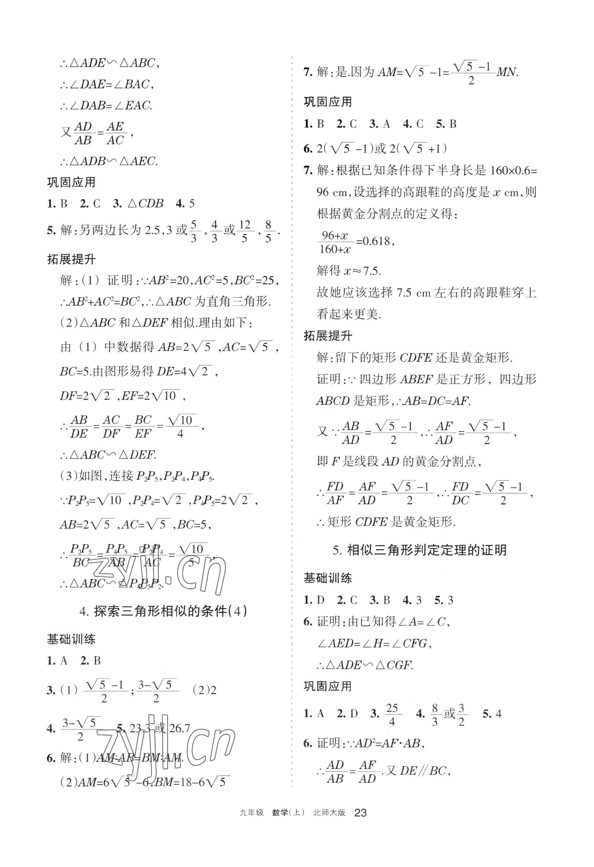 2022年學(xué)習(xí)之友九年級數(shù)學(xué)上冊北師大版 參考答案第23頁