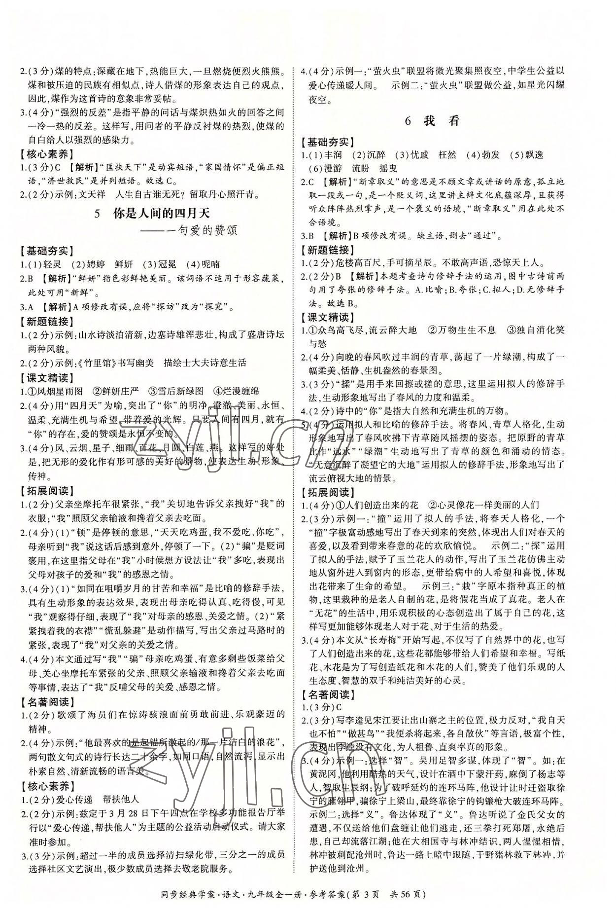 2022年同步經(jīng)典學(xué)案九年級語文全一冊人教版 第3頁