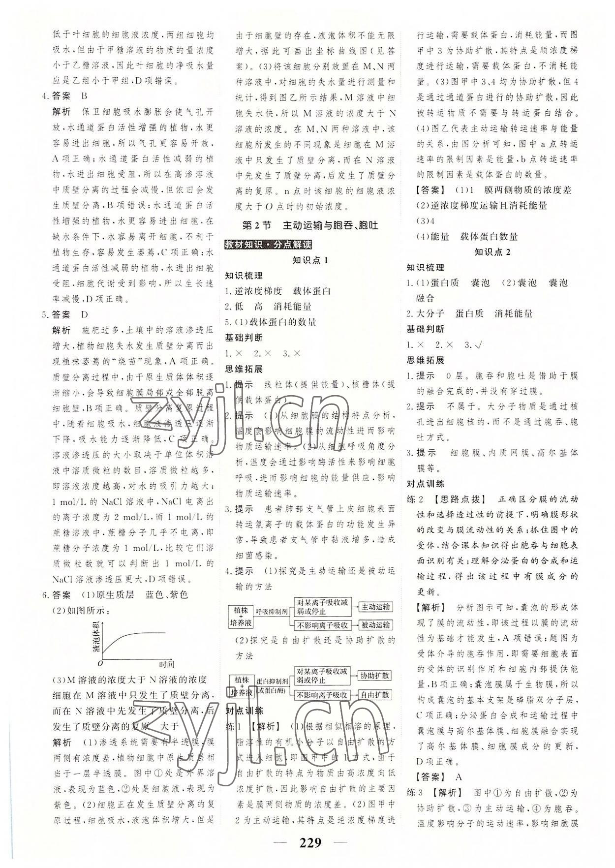 2022年高考調(diào)研衡水重點中學新教材同步學案高中生物必修1人教版 第15頁