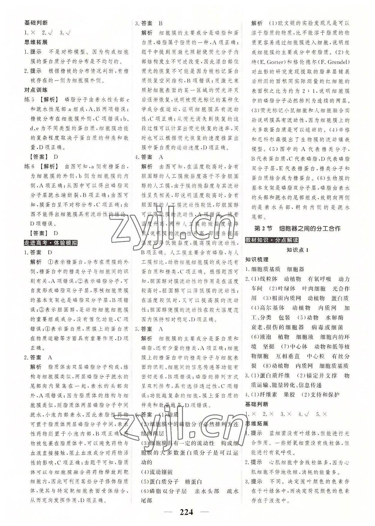 2022年高考調(diào)研衡水重點(diǎn)中學(xué)新教材同步學(xué)案高中生物必修1人教版 第10頁(yè)