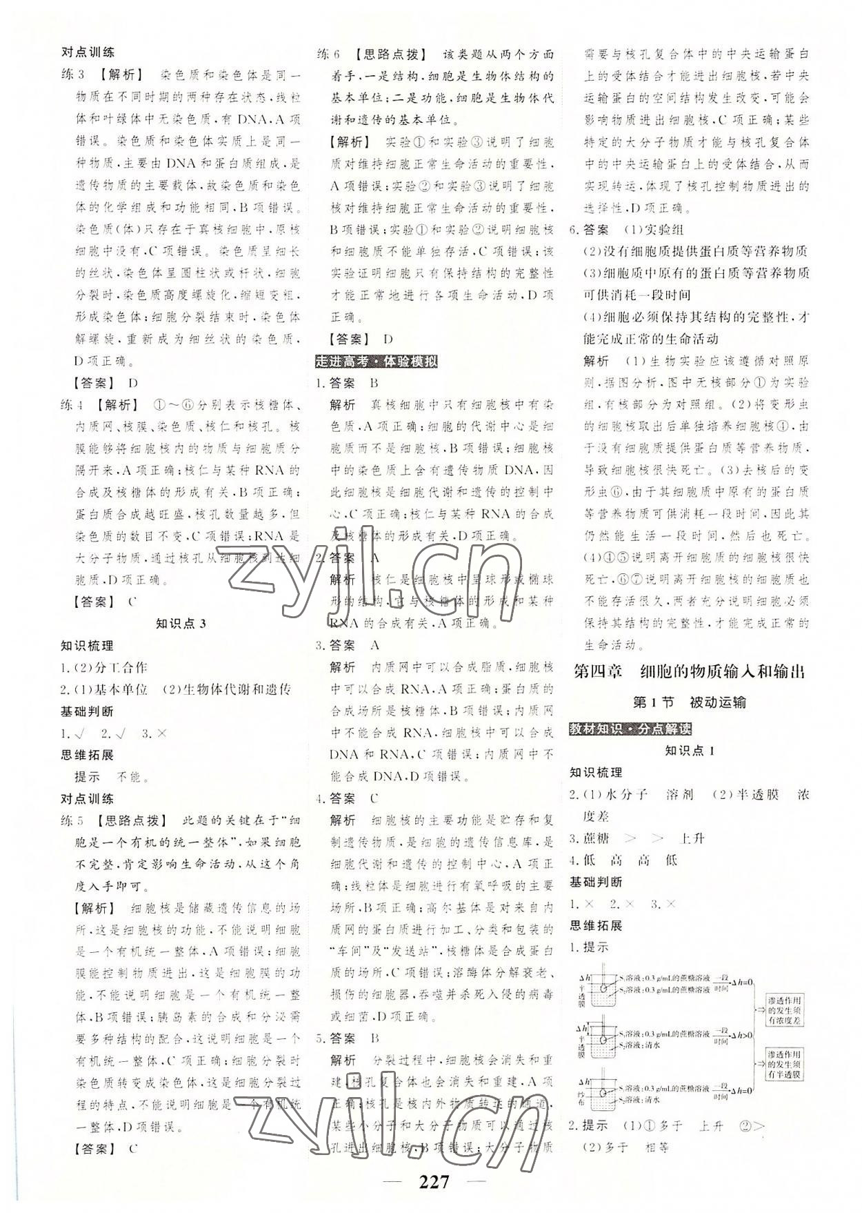 2022年高考調(diào)研衡水重點中學新教材同步學案高中生物必修1人教版 第13頁