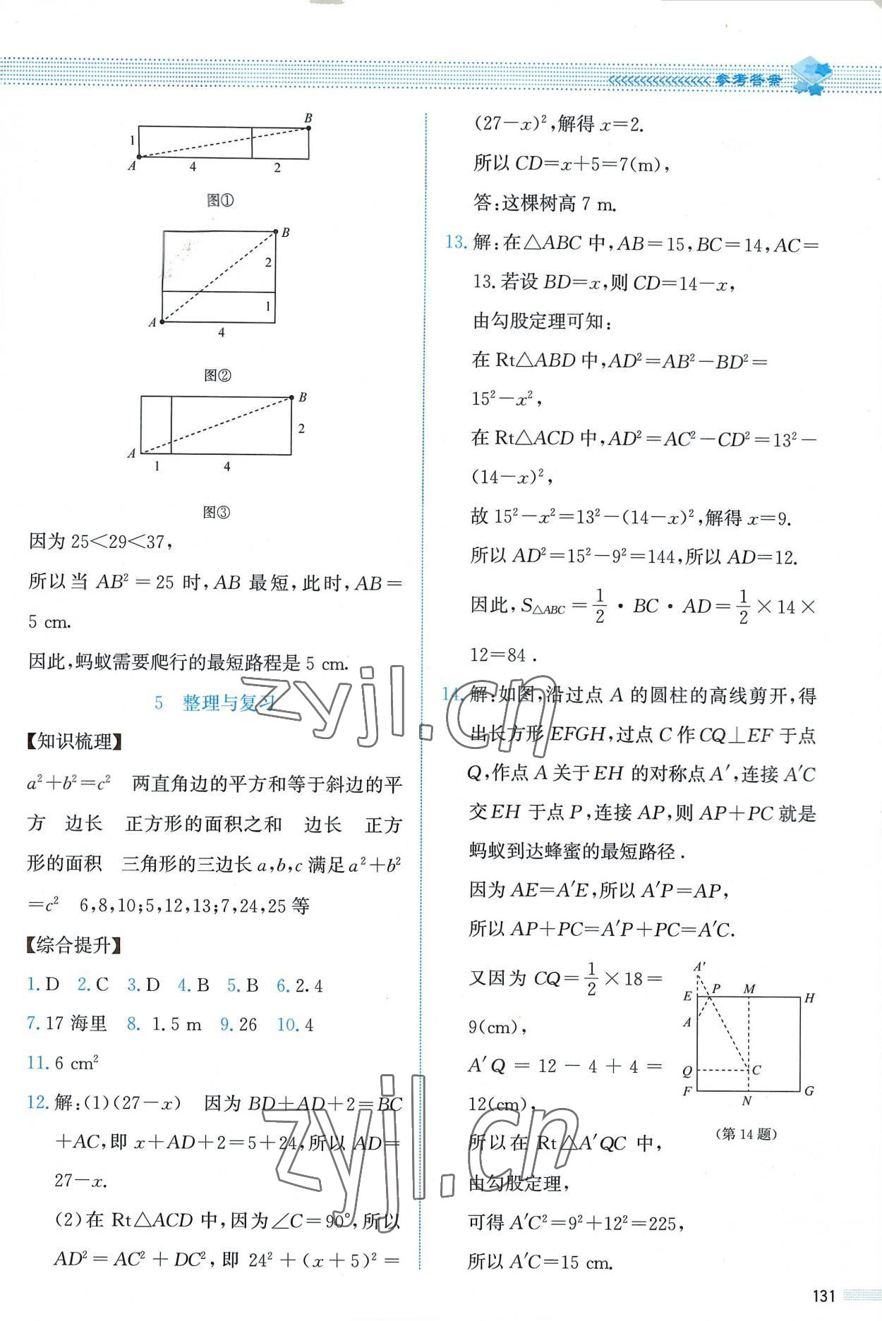 2022年课堂精练八年级数学上册北师大版 第3页