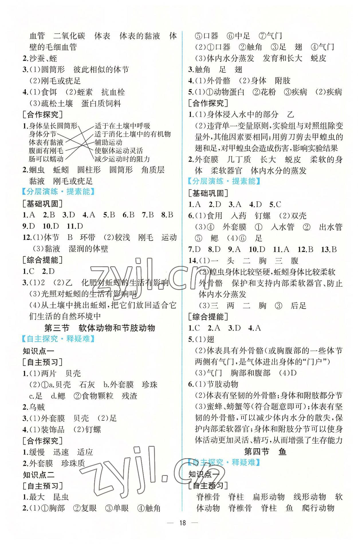 2022年同步導(dǎo)學(xué)案課時(shí)練八年級(jí)生物上冊人教版 第2頁