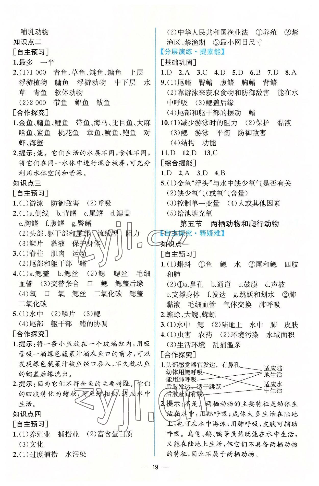 2022年同步導(dǎo)學(xué)案課時(shí)練八年級(jí)生物上冊(cè)人教版 第3頁(yè)