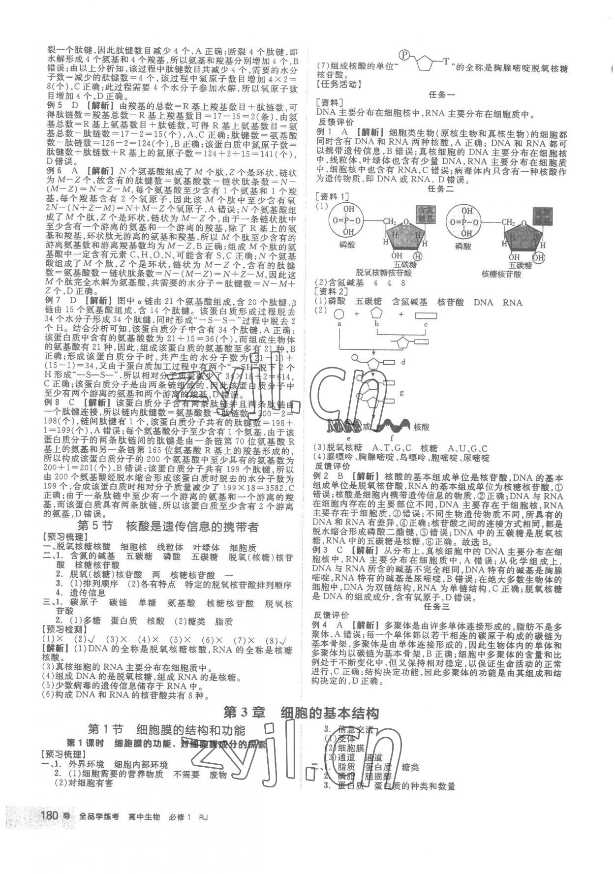 2022年全品學(xué)練考高中生物必修1人教版 第4頁(yè)