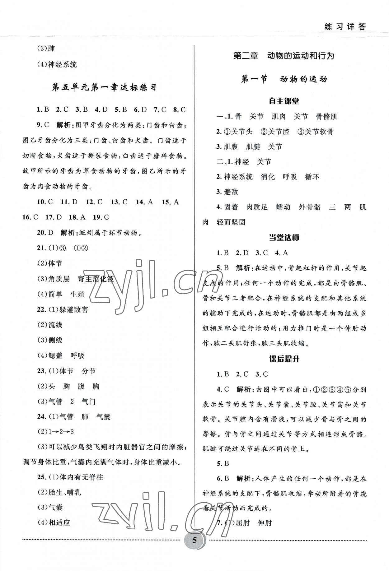 2022年奪冠百分百初中精講精練八年級(jí)生物上冊(cè)人教版 參考答案第5頁(yè)