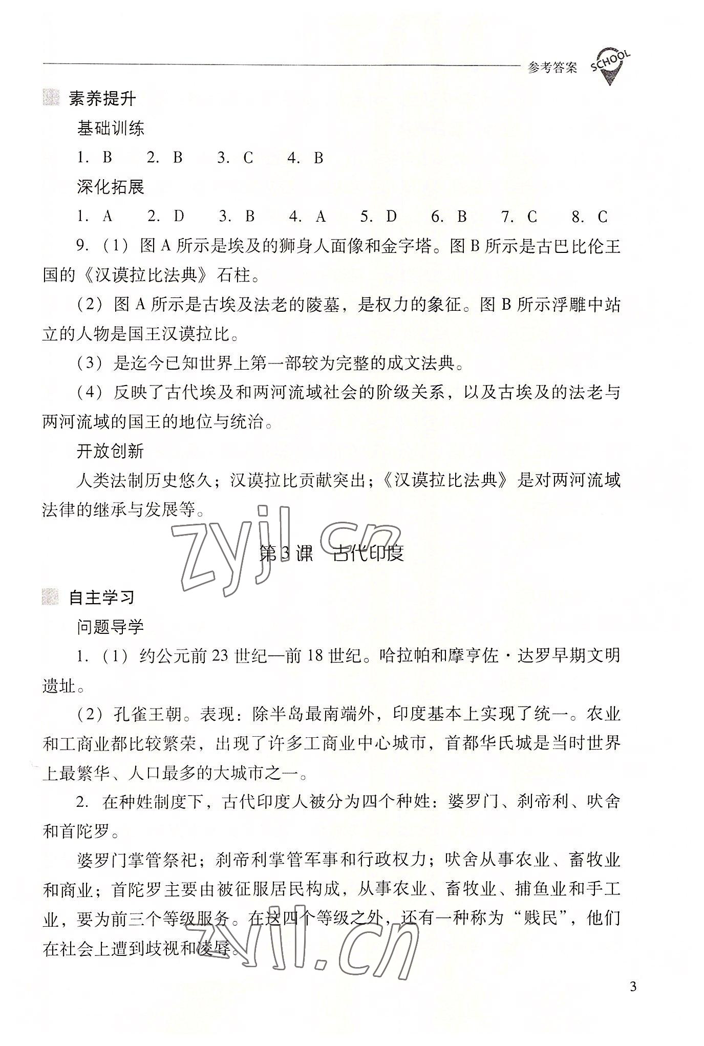 2022年新課程問題解決導(dǎo)學(xué)方案九年級歷史上冊人教版 參考答案第3頁