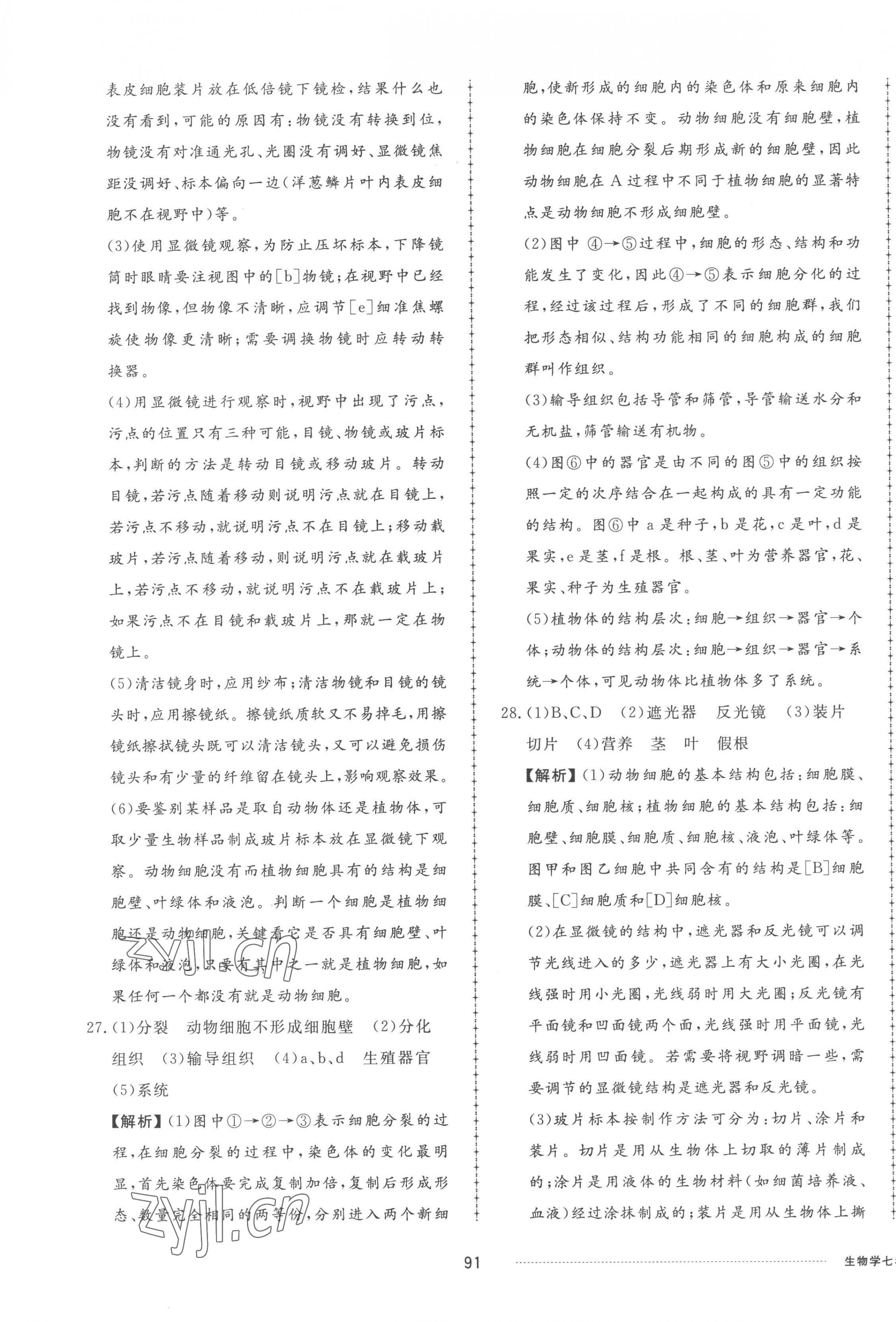 2022年同步練習冊配套單元檢測卷七年級生物上冊濟南版 參考答案第3頁