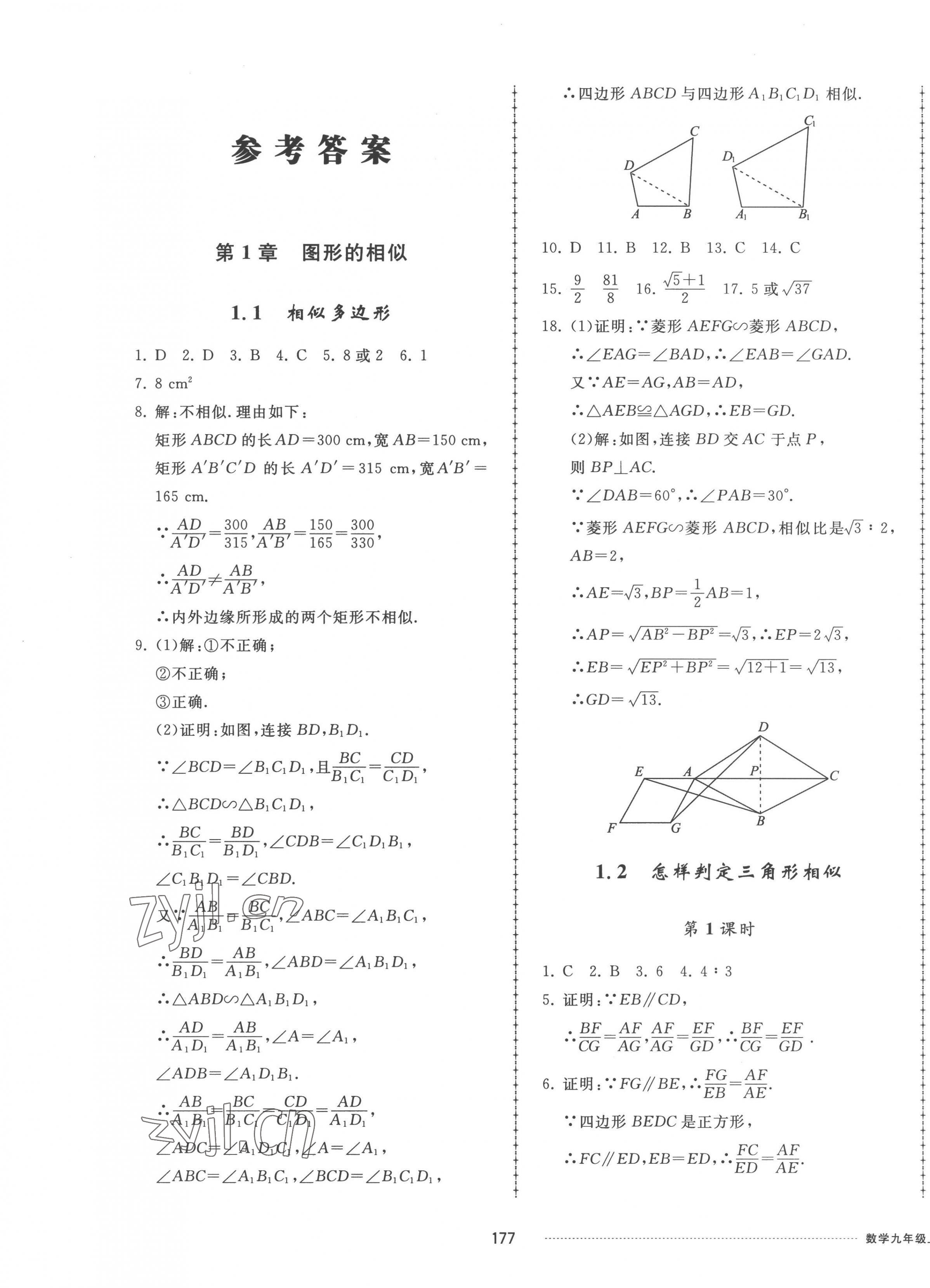 2022年同步練習(xí)冊配套單元檢測卷九年級數(shù)學(xué)上冊青島版 參考答案第1頁