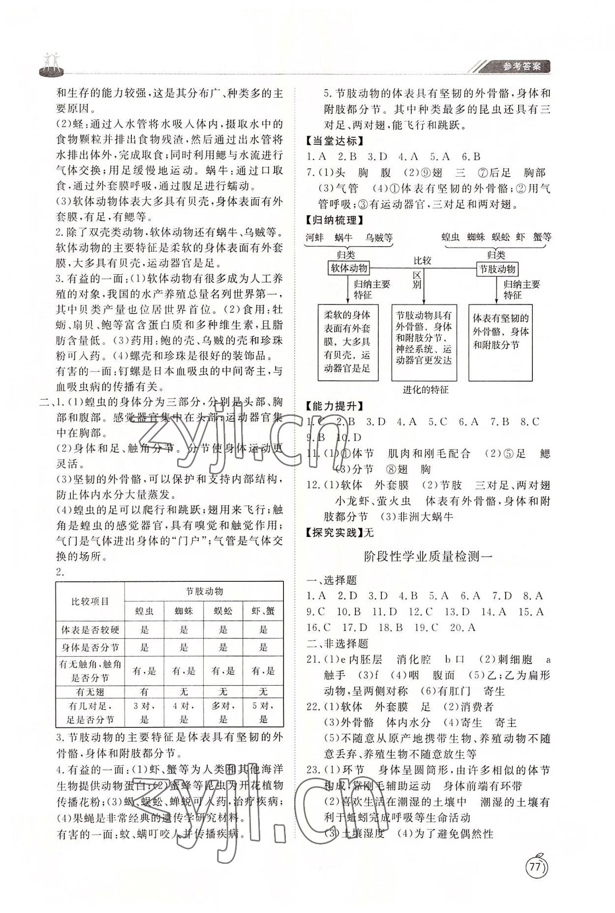 2022年同步練習冊山東友誼出版社八年級生物上冊魯科版54制 第3頁