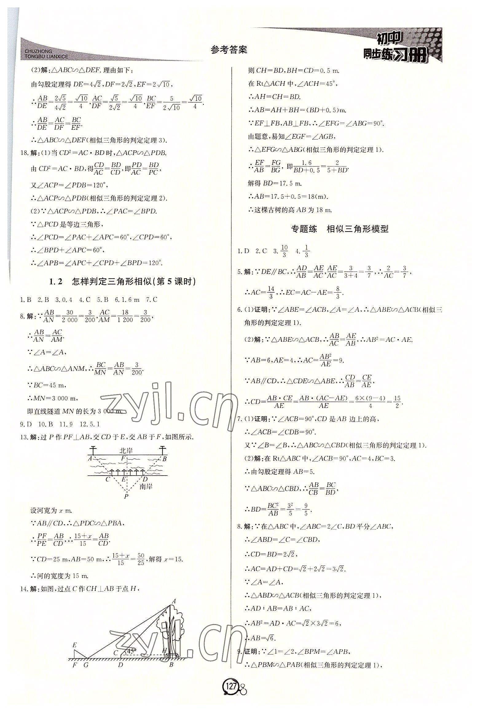 2022年初中同步練習(xí)冊(cè)九年級(jí)數(shù)學(xué)上冊(cè)青島版北京教育出版社 第3頁