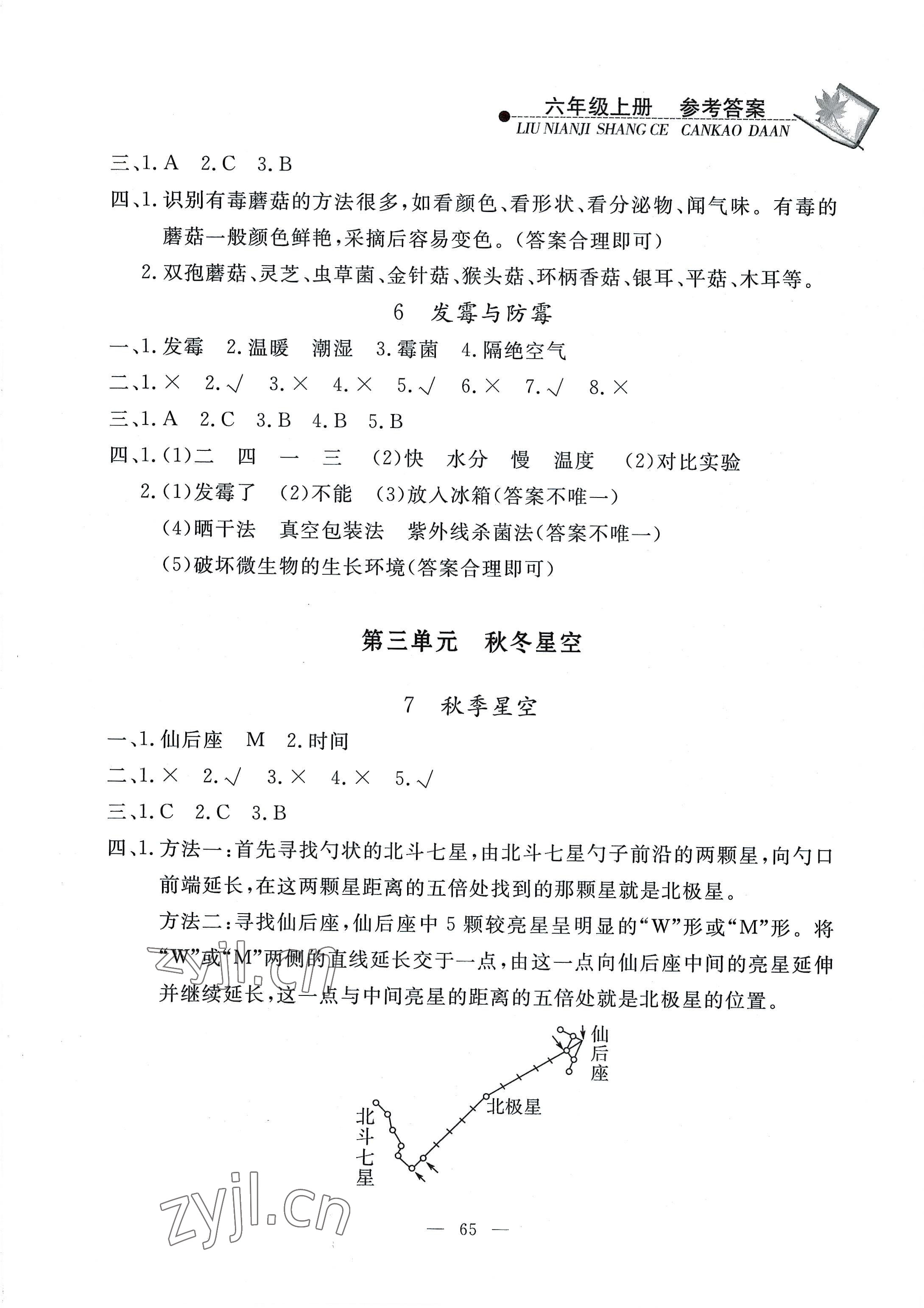 2022年同步練習(xí)冊山東科學(xué)技術(shù)出版社六年級科學(xué)上冊青島版 第3頁