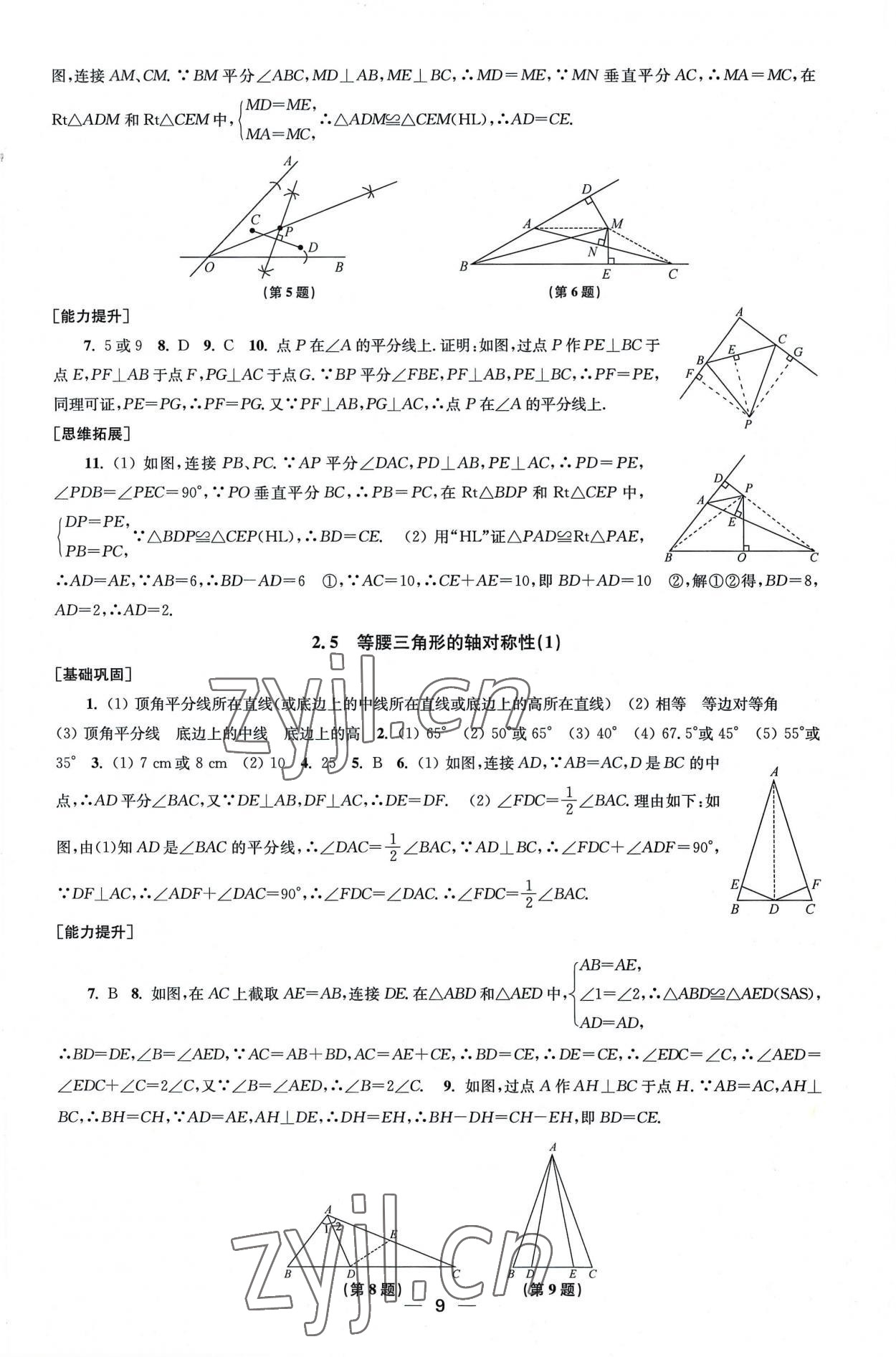 2022年創(chuàng)新課時作業(yè)八年級數學上冊蘇科版 第9頁