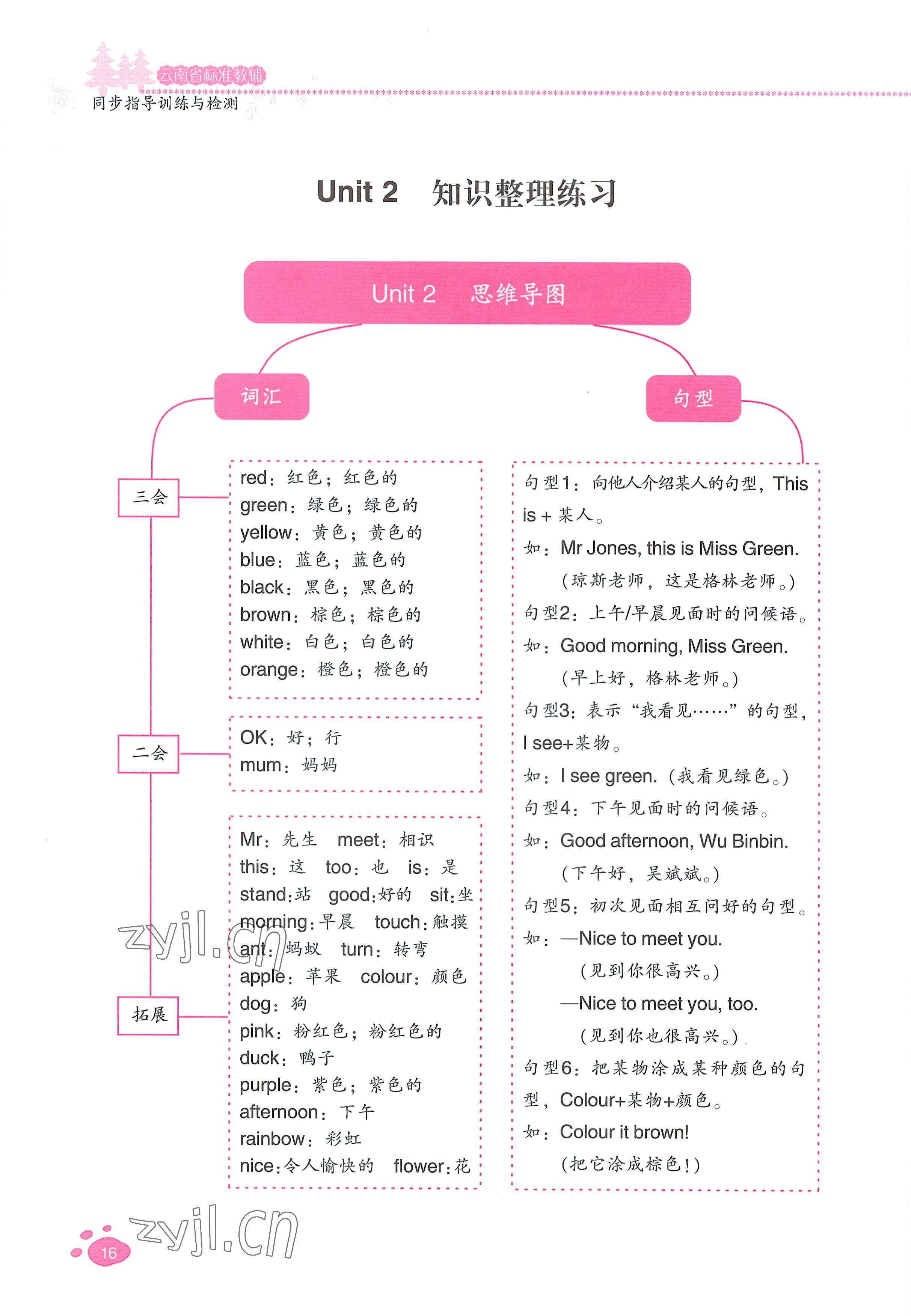 2022年云南省标准教辅同步指导训练与检测三年级英语上册人教版 参考答案第15页