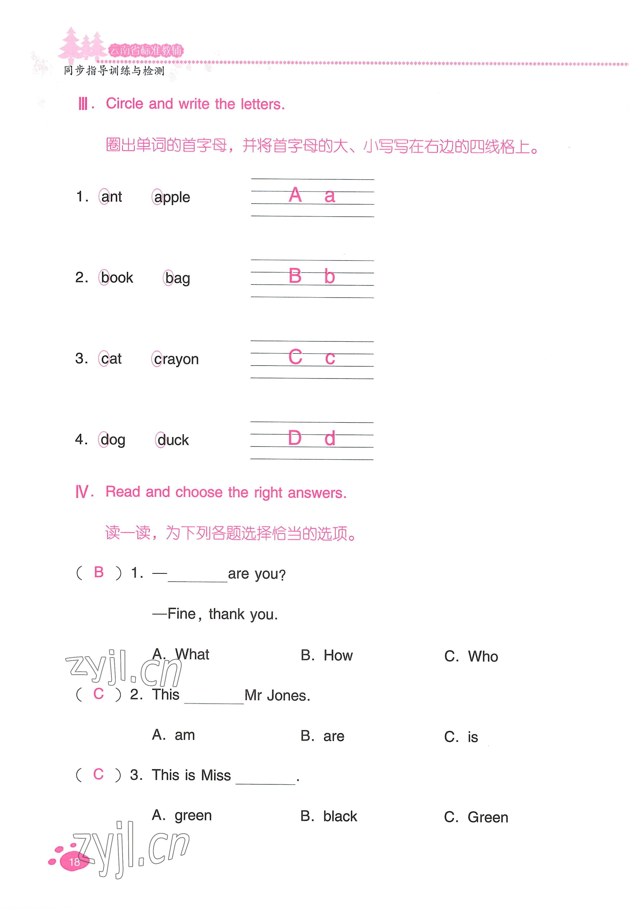 2022年云南省标准教辅同步指导训练与检测三年级英语上册人教版 参考答案第17页