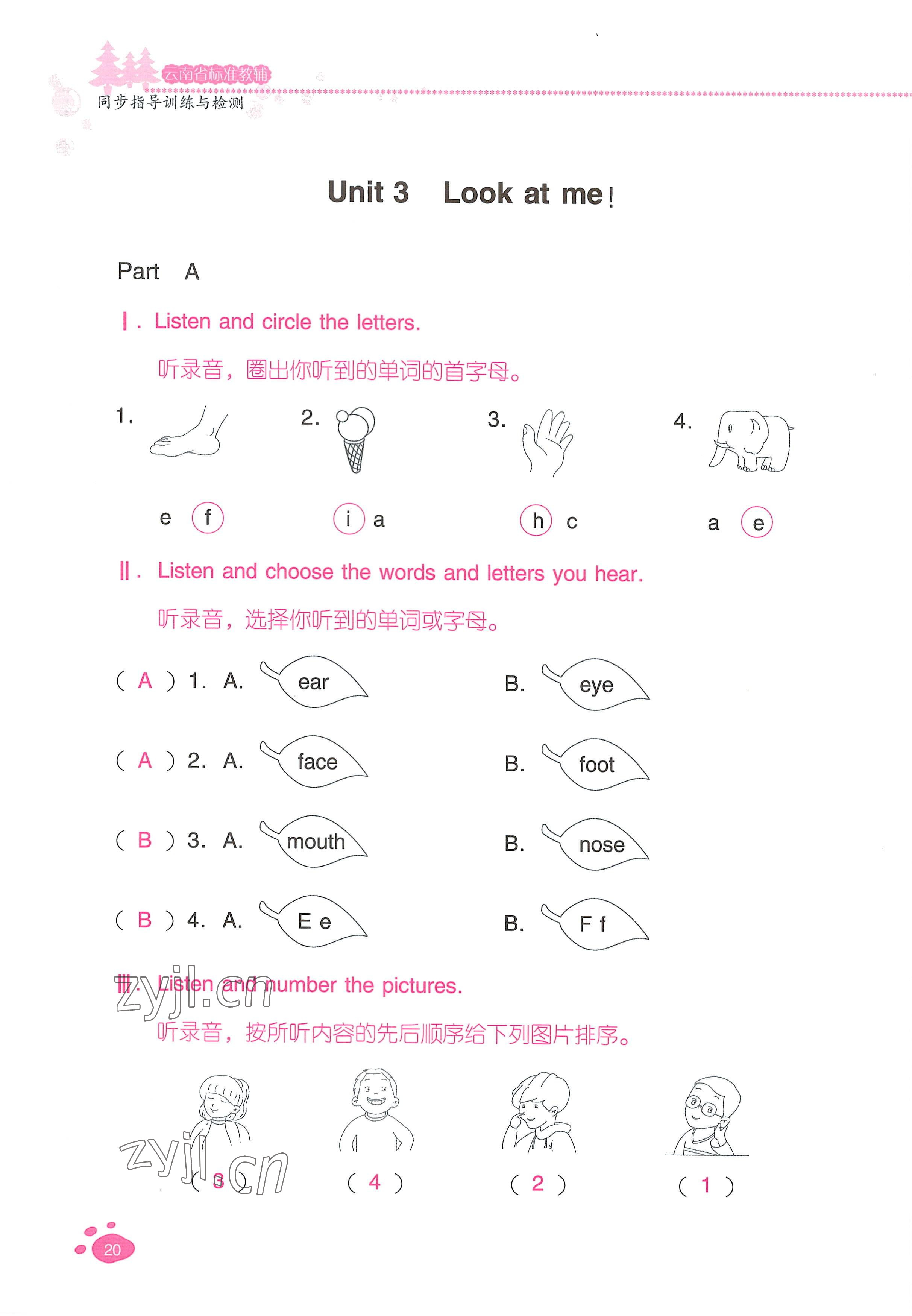 2022年云南省标准教辅同步指导训练与检测三年级英语上册人教版 参考答案第19页