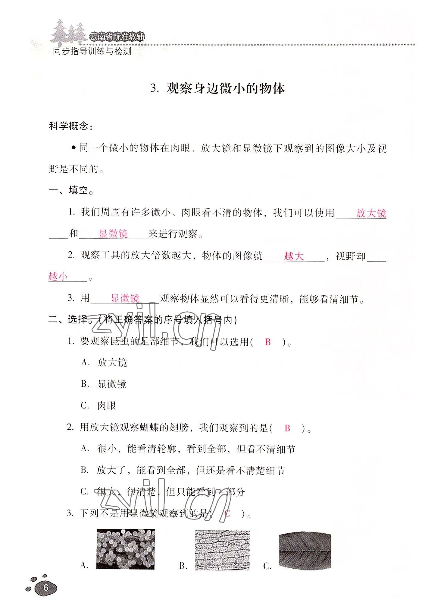 2022年云南省標(biāo)準(zhǔn)教輔同步指導(dǎo)訓(xùn)練與檢測(cè)六年級(jí)科學(xué)上冊(cè)教科版 參考答案第5頁