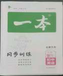 2022年一本同步訓(xùn)練九年級英語上冊人教版安徽專版