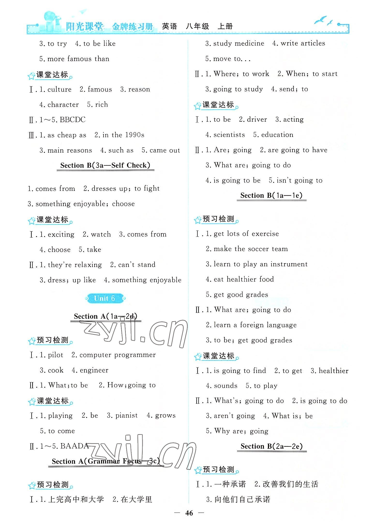 2022年陽光課堂金牌練習(xí)冊(cè)八年級(jí)英語上冊(cè)人教版 參考答案第6頁