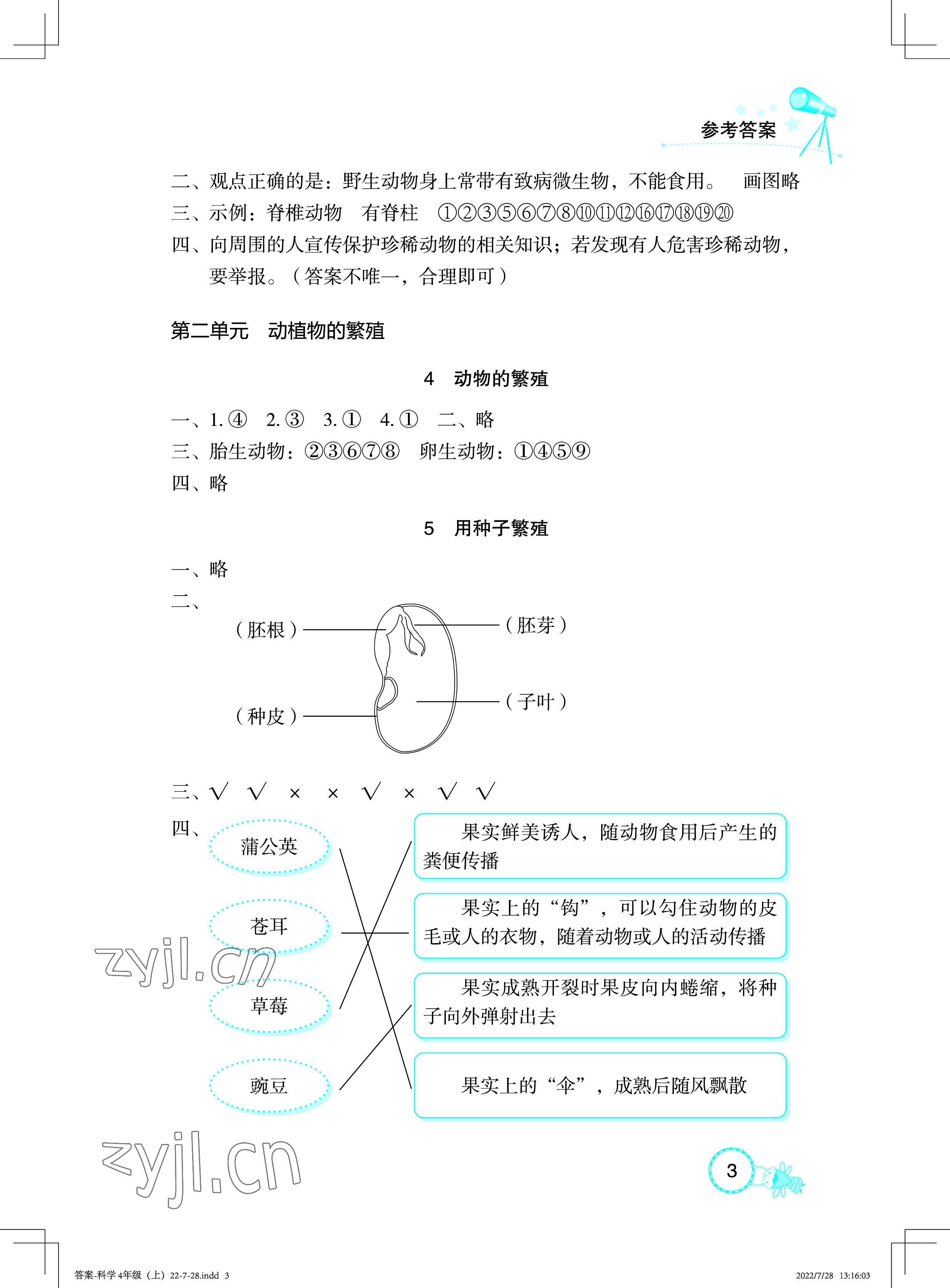 2022年長江作業(yè)本課堂作業(yè)四年級科學(xué)上冊鄂教版 參考答案第3頁