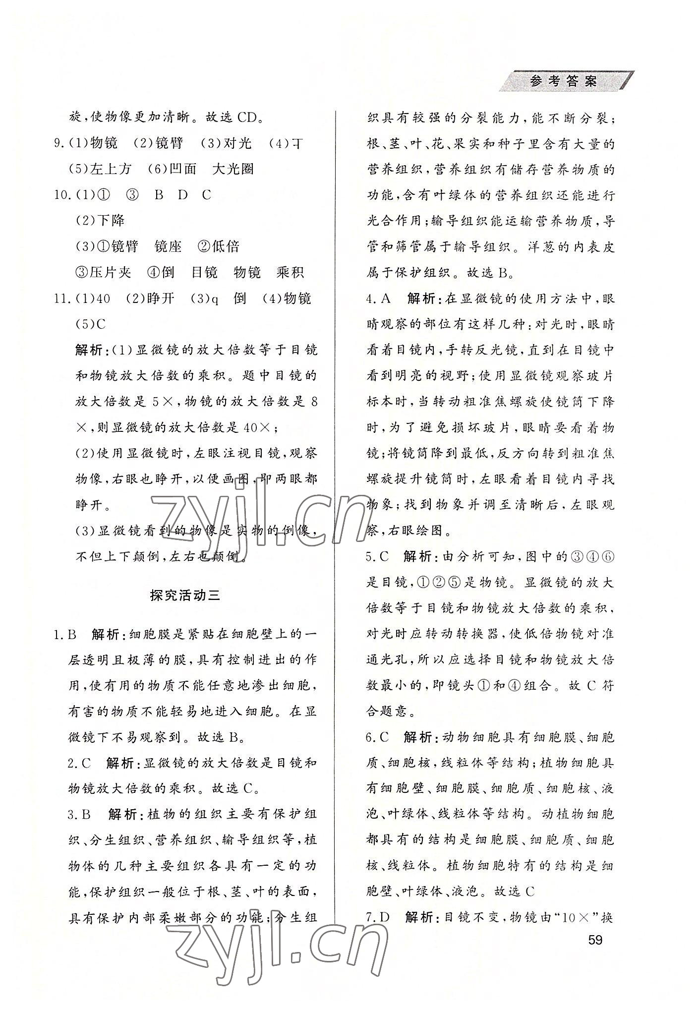 2022年新課堂實驗報告七年級生物上冊人教版 參考答案第4頁