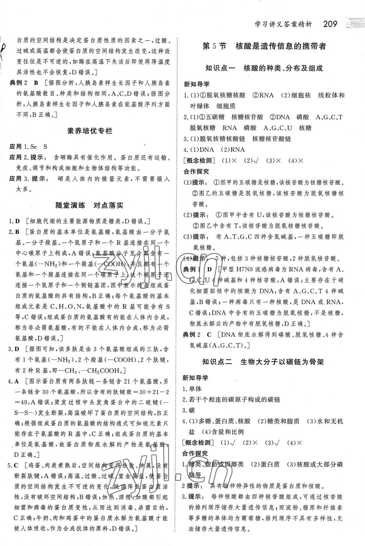 2022年金版新學案高中生物必修1人教版 參考答案第8頁