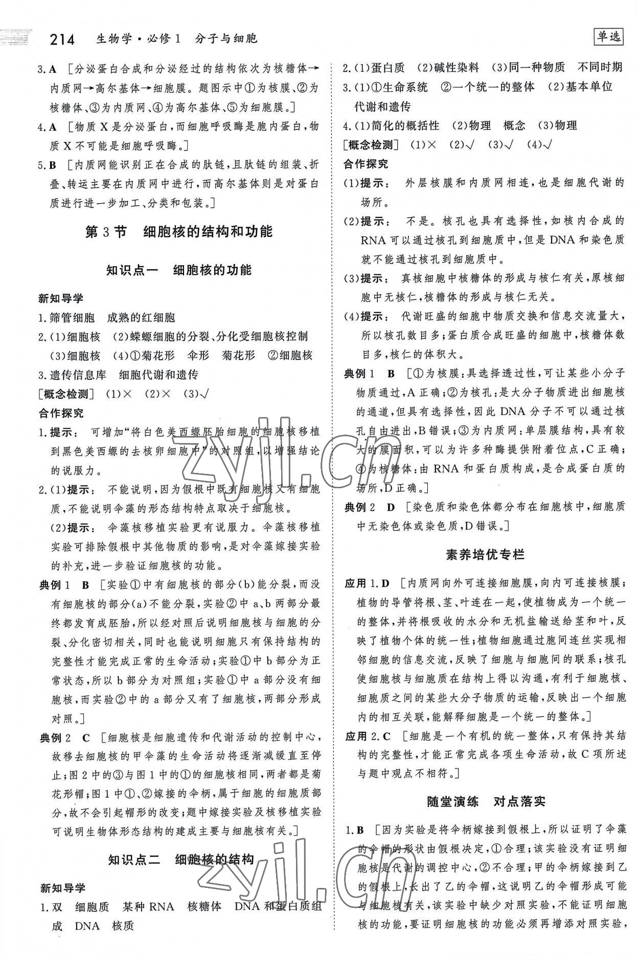 2022年金版新學(xué)案高中生物必修1人教版 參考答案第13頁