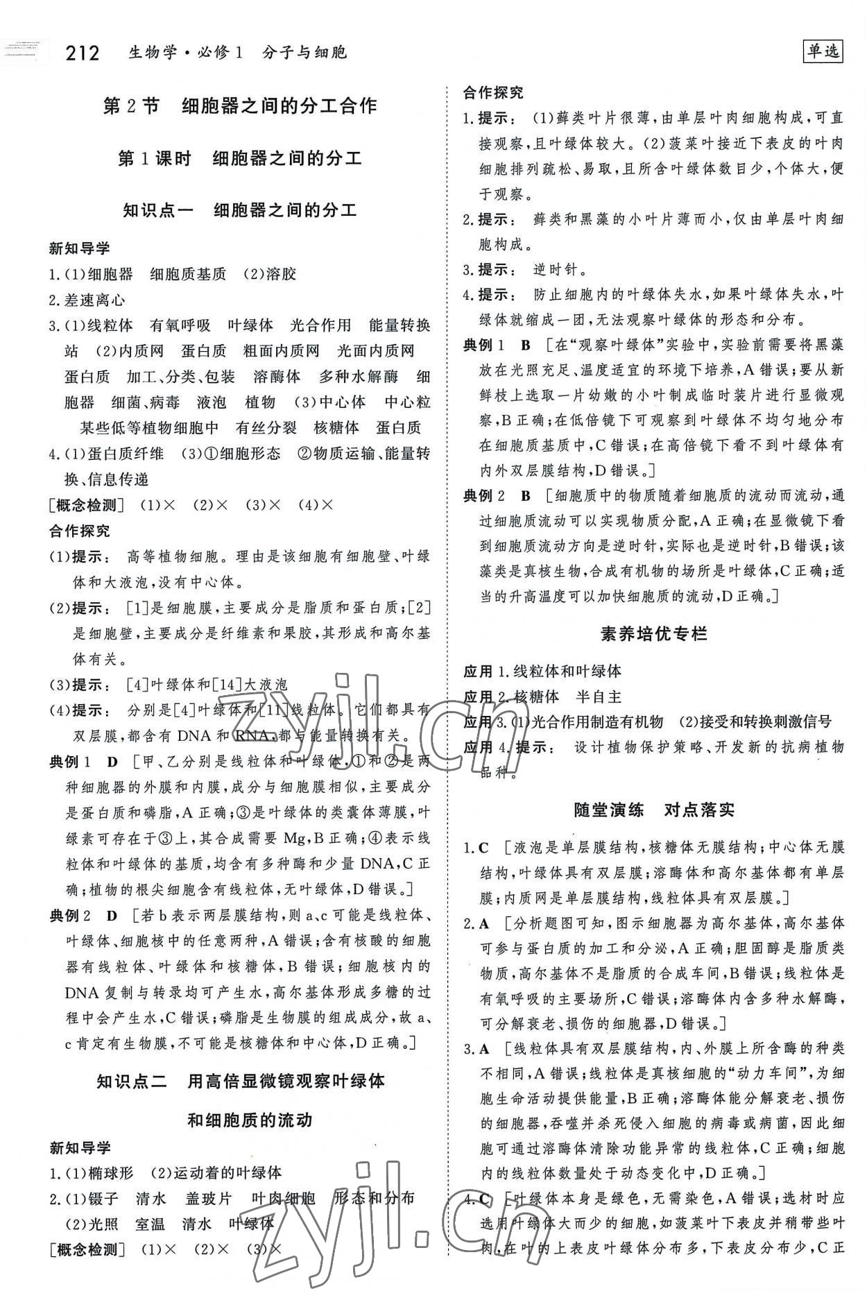 2022年金版新學案高中生物必修1人教版 參考答案第11頁