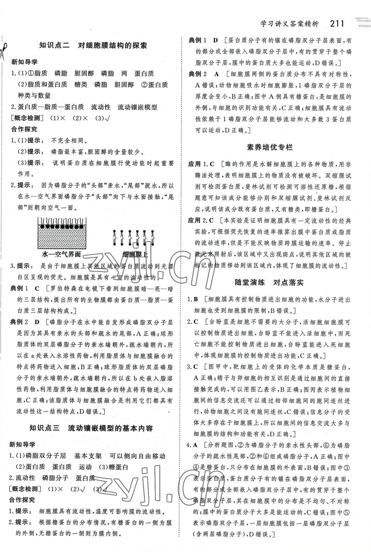 2022年金版新學(xué)案高中生物必修1人教版 參考答案第10頁