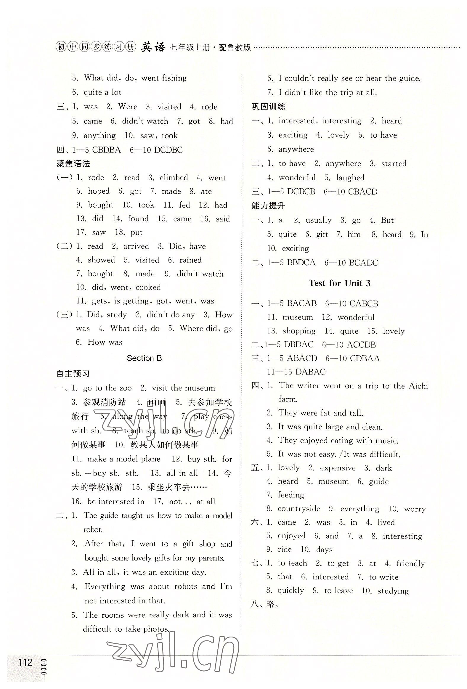 2022年同步練習(xí)冊山東教育出版社七年級英語上冊魯教版54制 參考答案第4頁