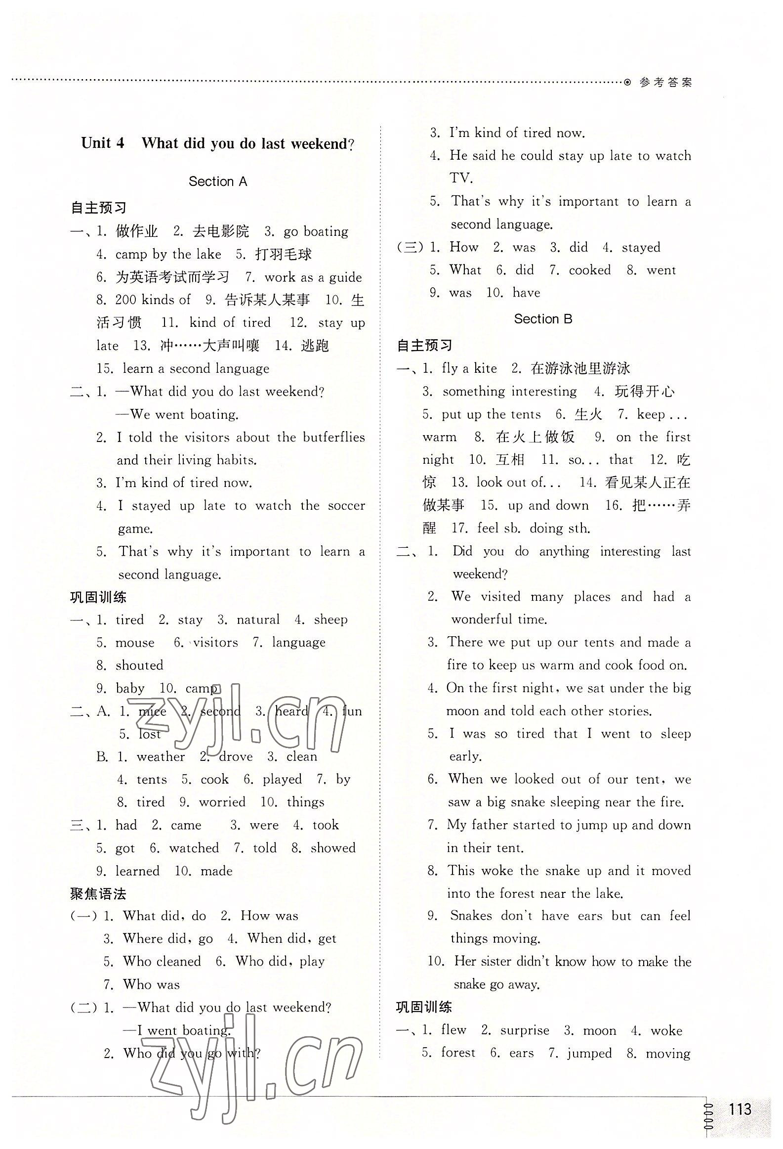 2022年同步練習冊山東教育出版社七年級英語上冊魯教版54制 參考答案第5頁