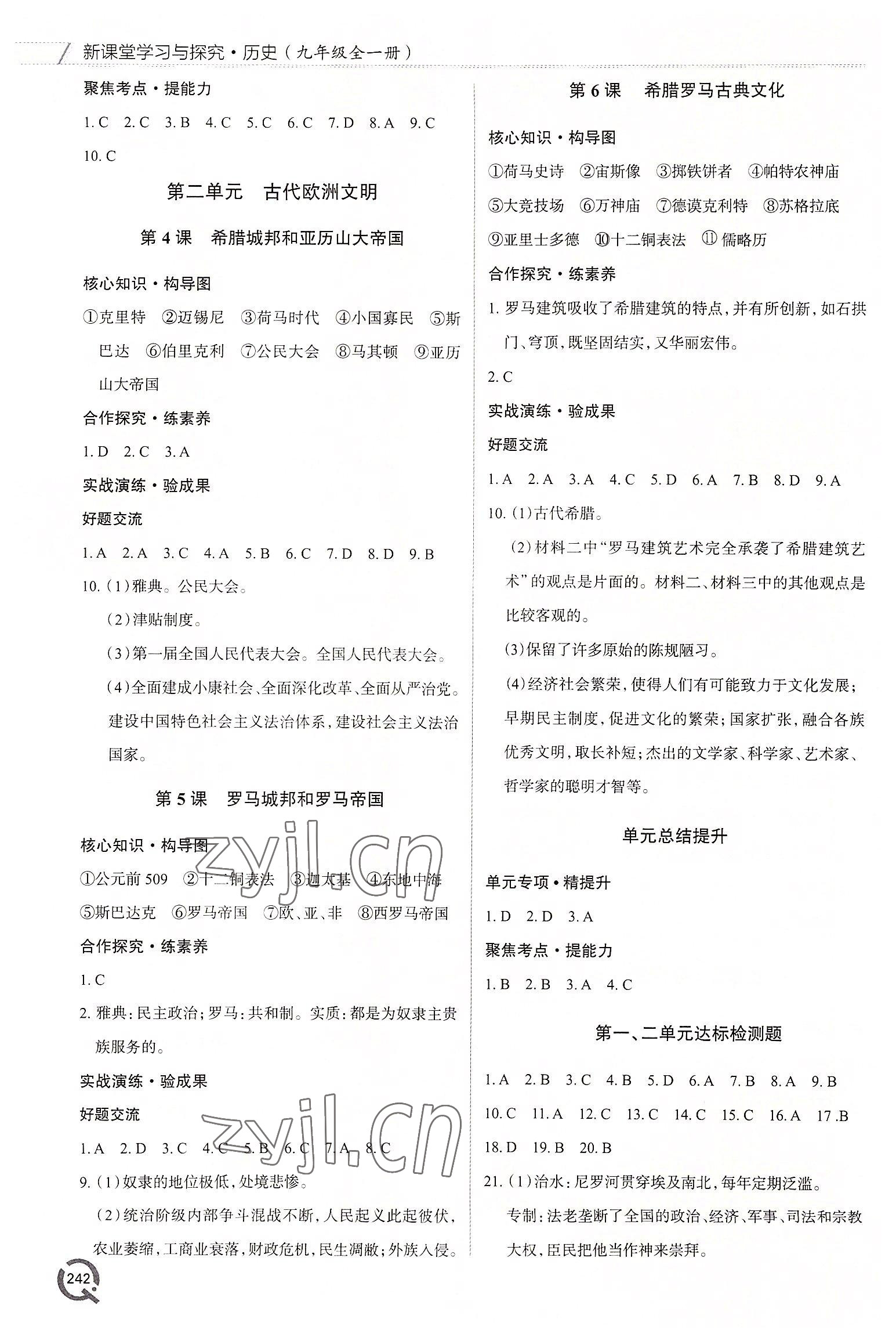 2022年新課堂學習與探究九年級歷史全一冊人教版 第2頁