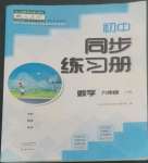 2022年同步練習(xí)冊(cè)大象出版社九年級(jí)數(shù)學(xué)上冊(cè)人教版