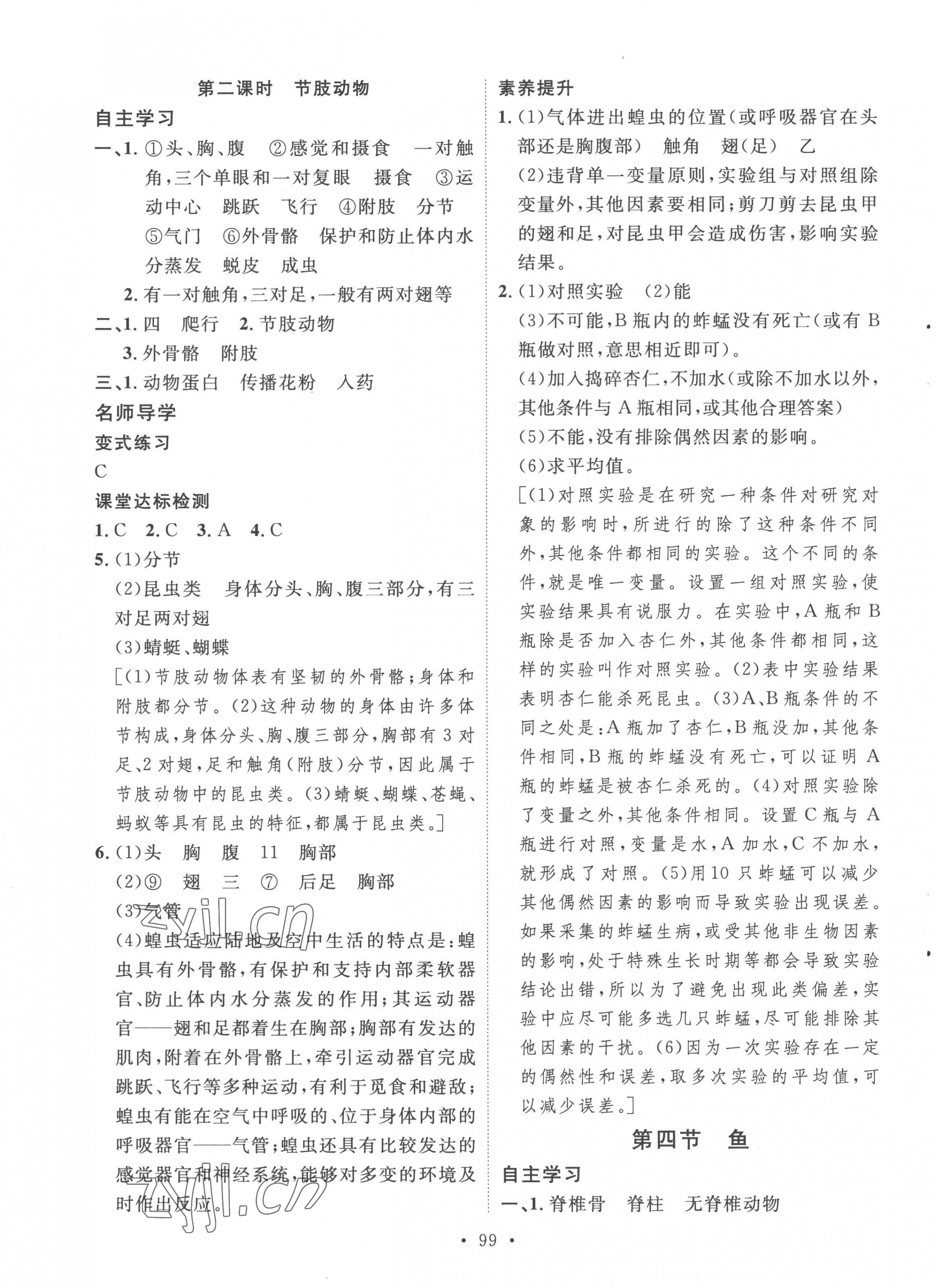 2022年實驗教材新學案八年級生物上冊人教版 第3頁