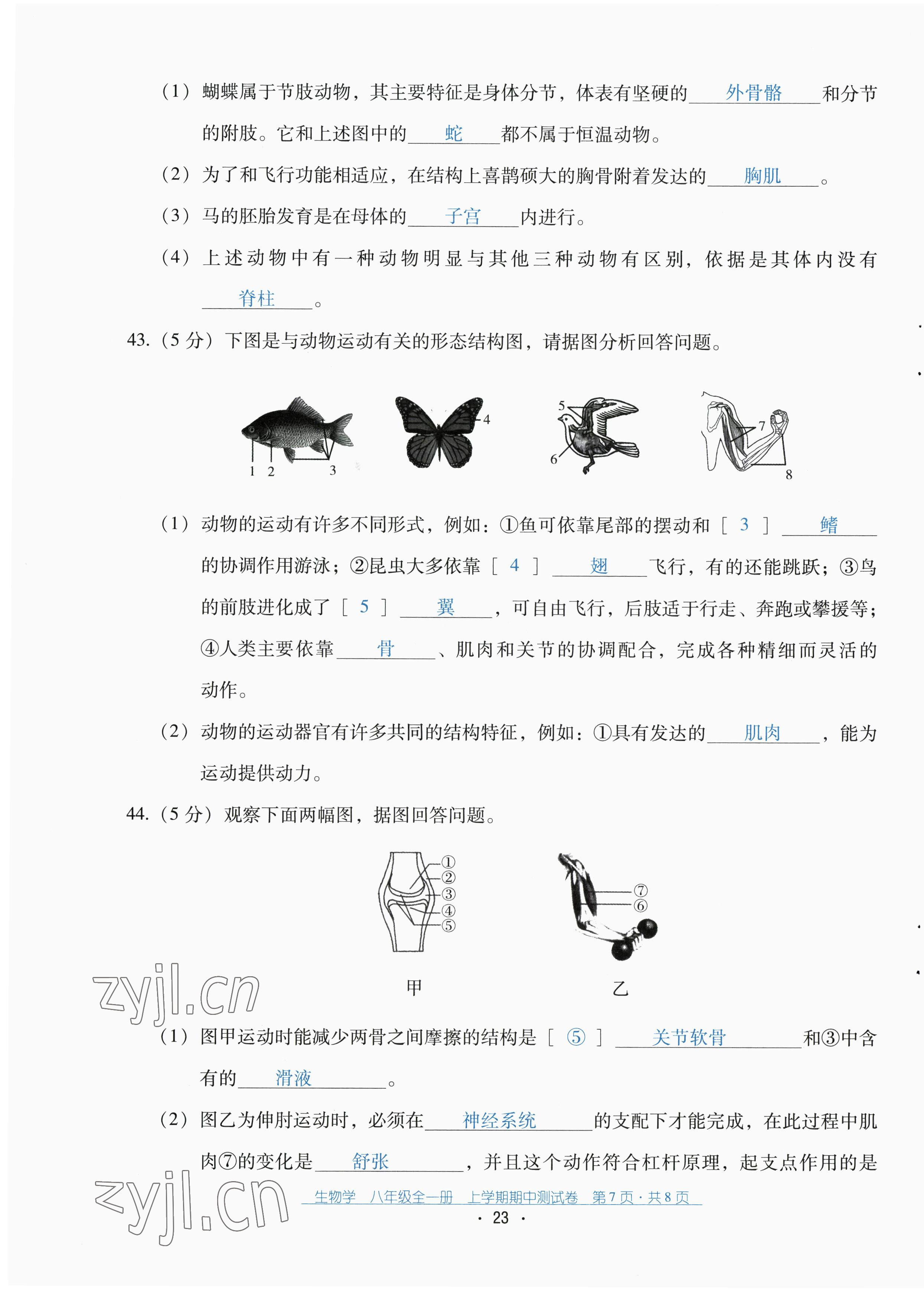 2022年云南省標(biāo)準(zhǔn)教輔優(yōu)佳學(xué)案配套測(cè)試卷八年級(jí)生物全一冊(cè)人教版 第23頁