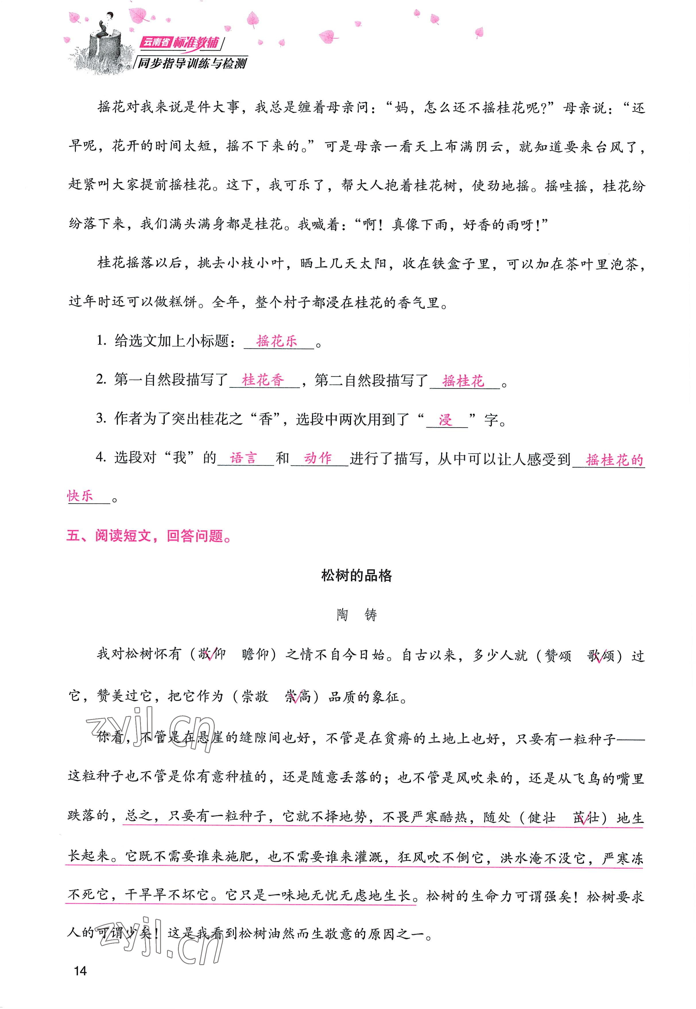 2022年云南省標準教輔同步指導訓練與檢測五年級語文上冊人教版 參考答案第13頁