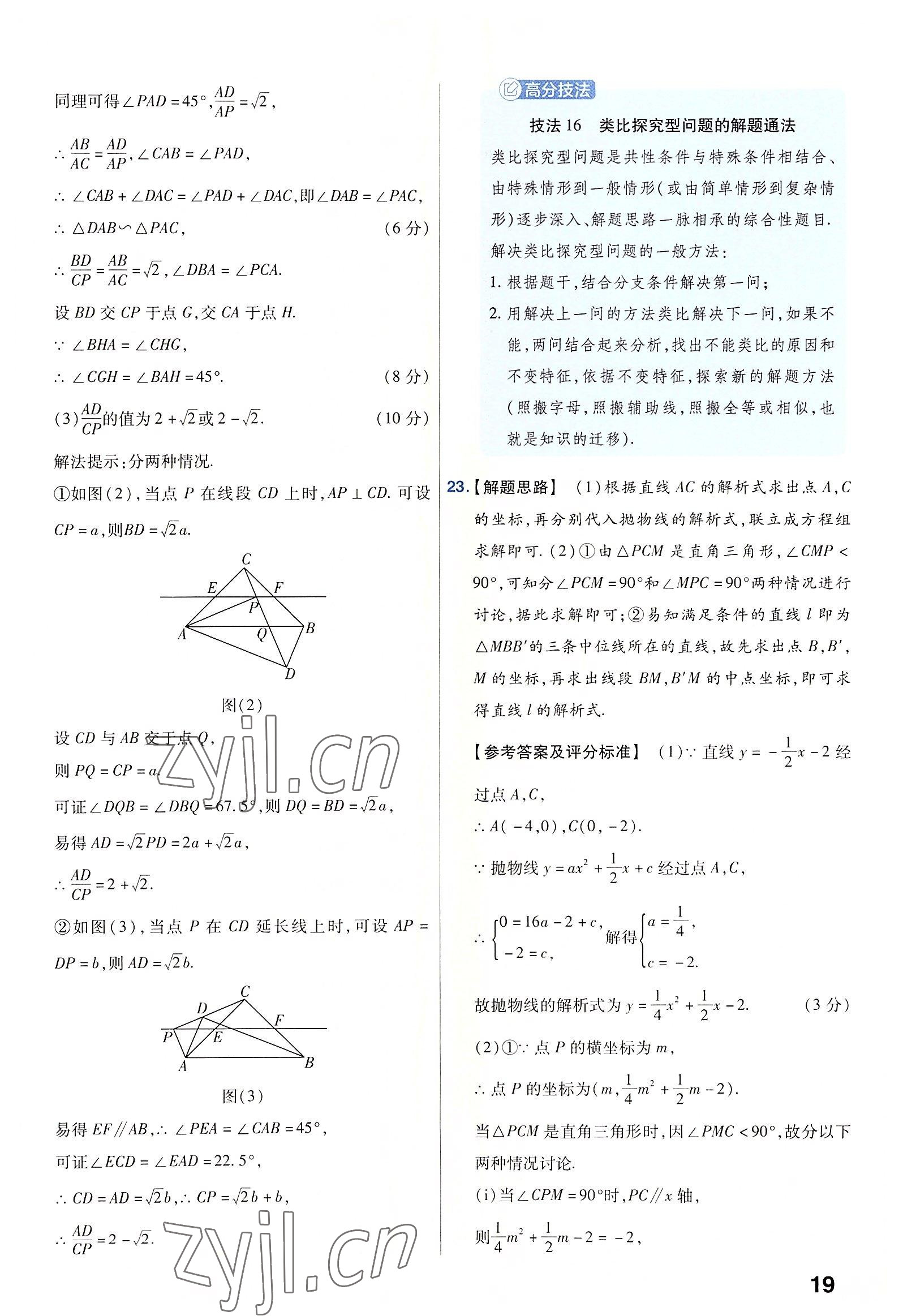 2023年金考卷45套匯編數(shù)學(xué)河南專版 參考答案第19頁