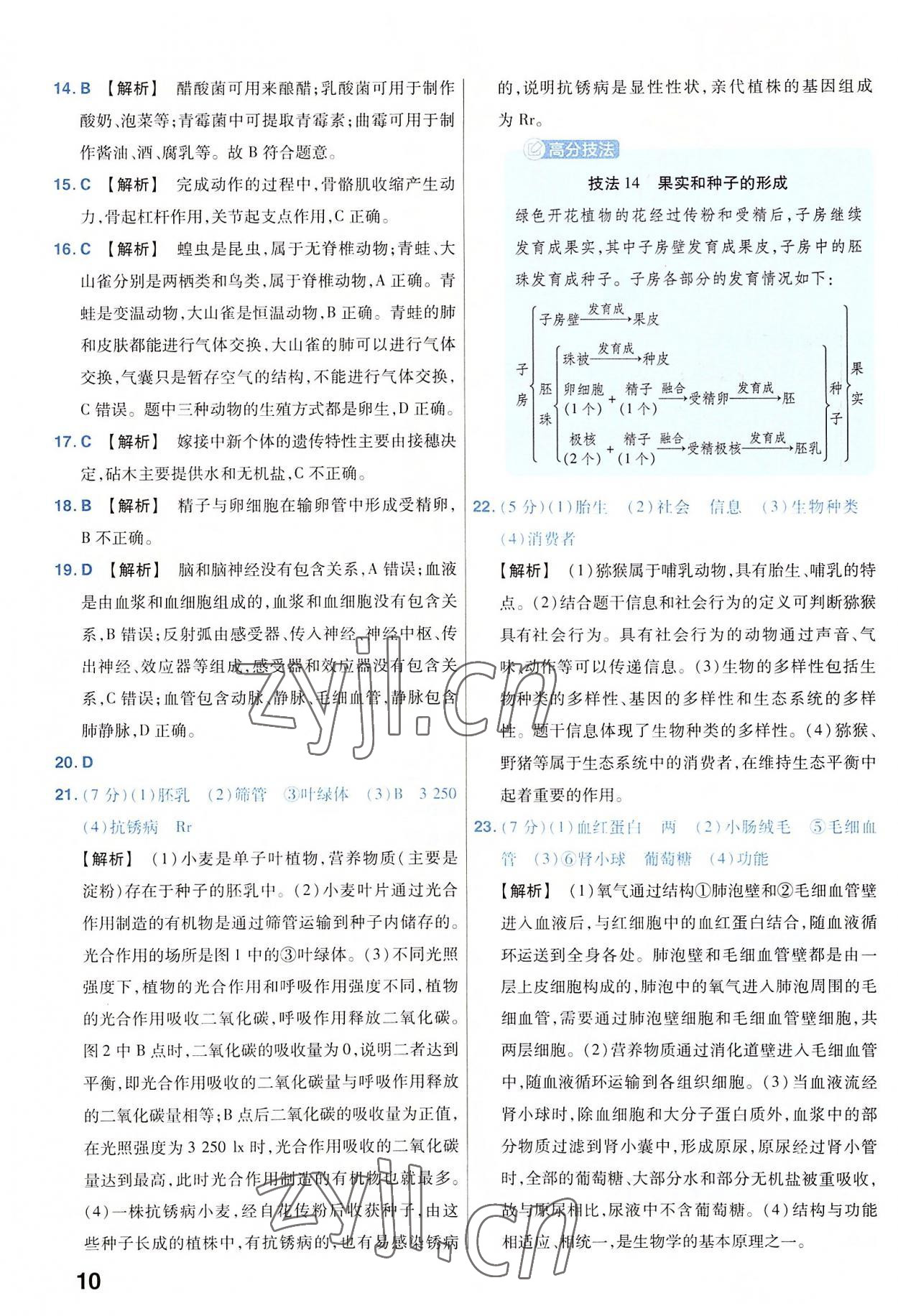 2023年金考卷45套匯編生物河南專版 參考答案第10頁