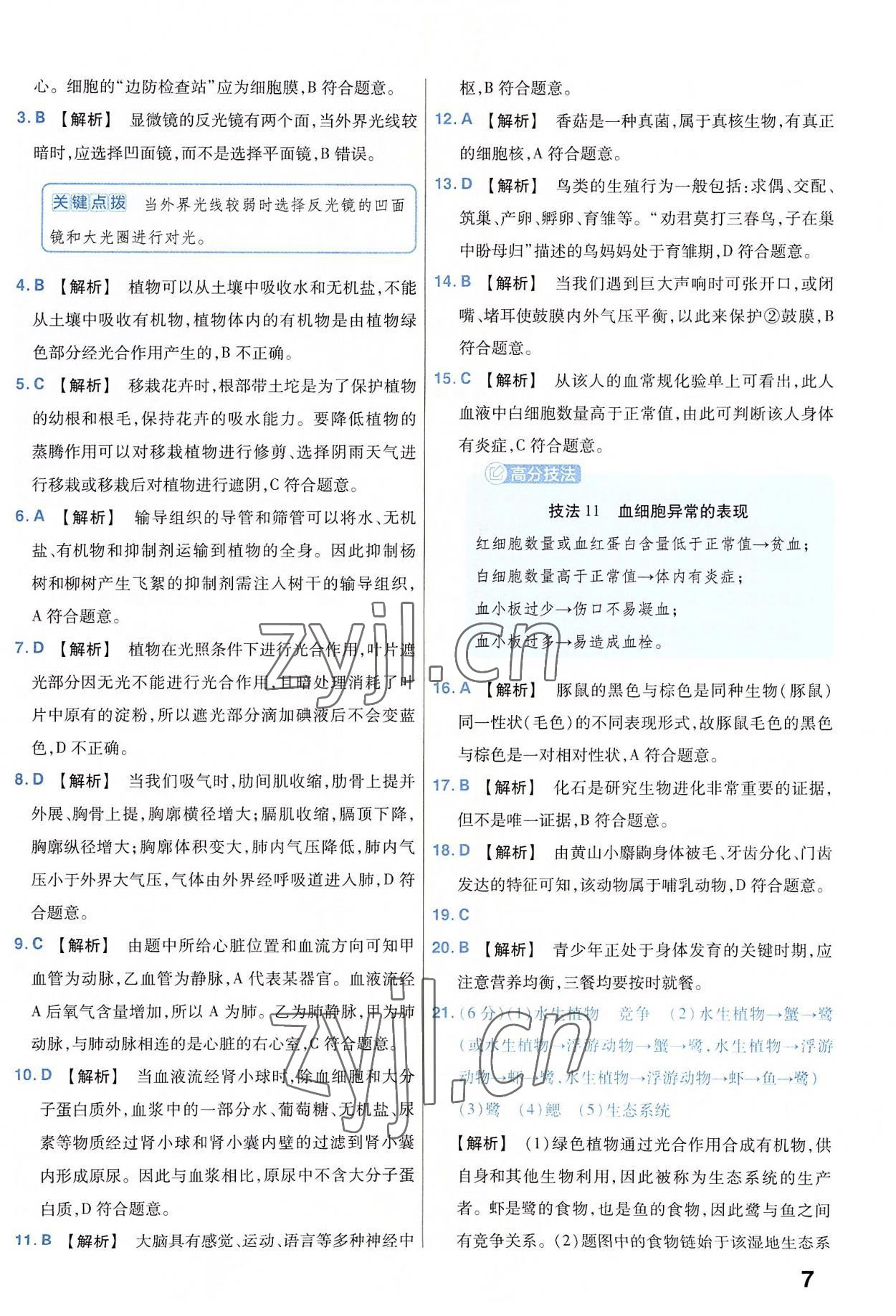 2023年金考卷45套汇编生物河南专版 参考答案第7页