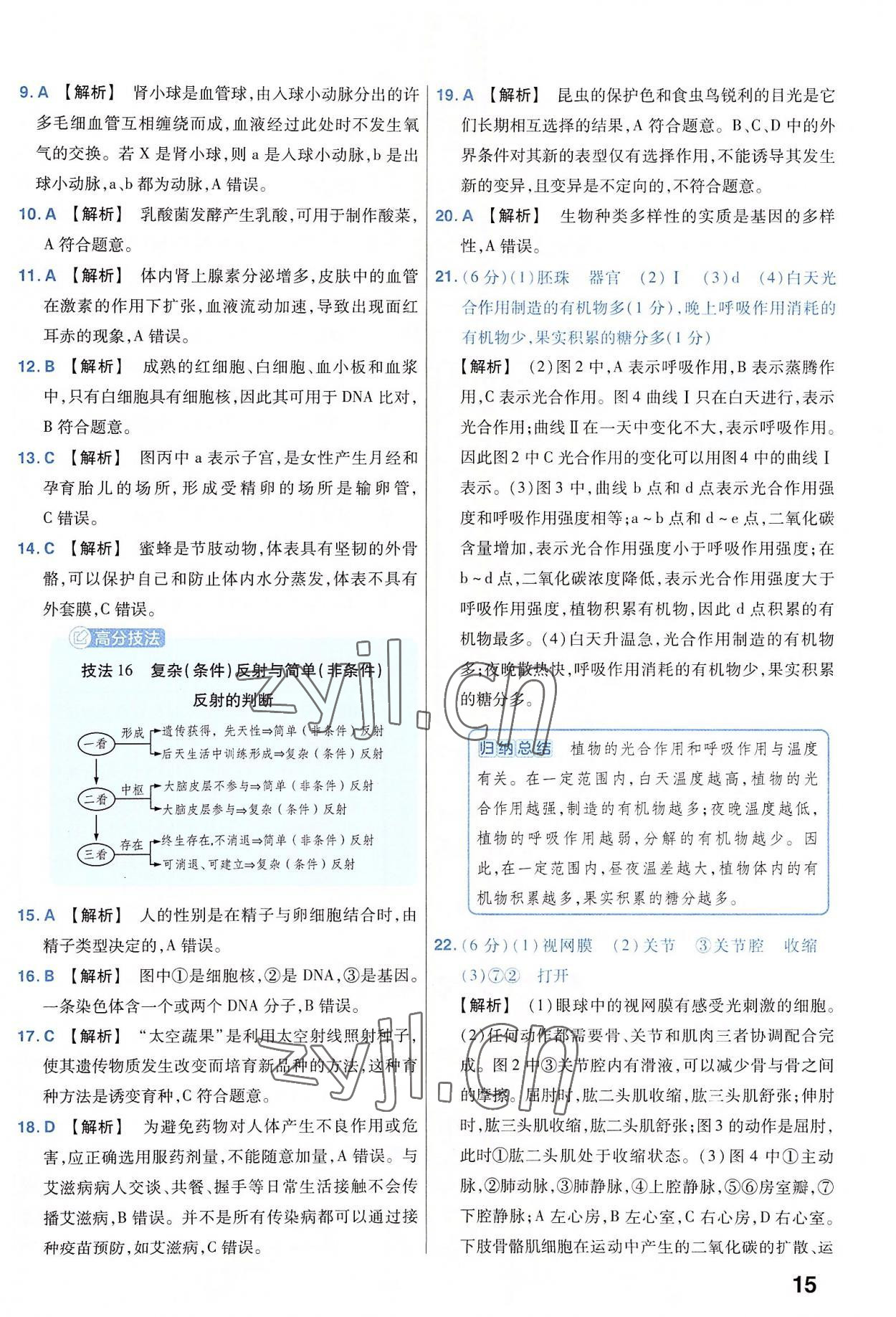 2023年金考卷45套汇编生物河南专版 参考答案第15页